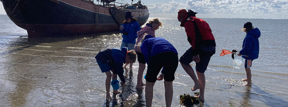 Plattbodenschiff fällt im Watt trocken