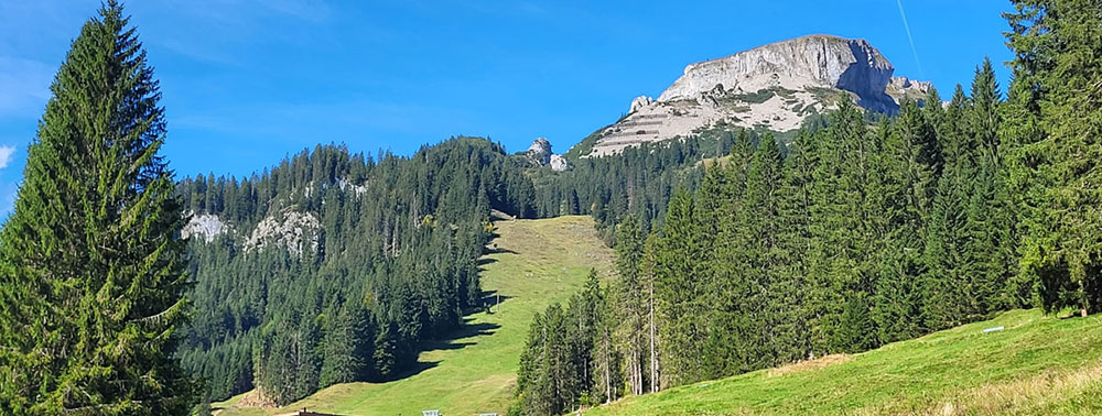 das Kleinwalsertal