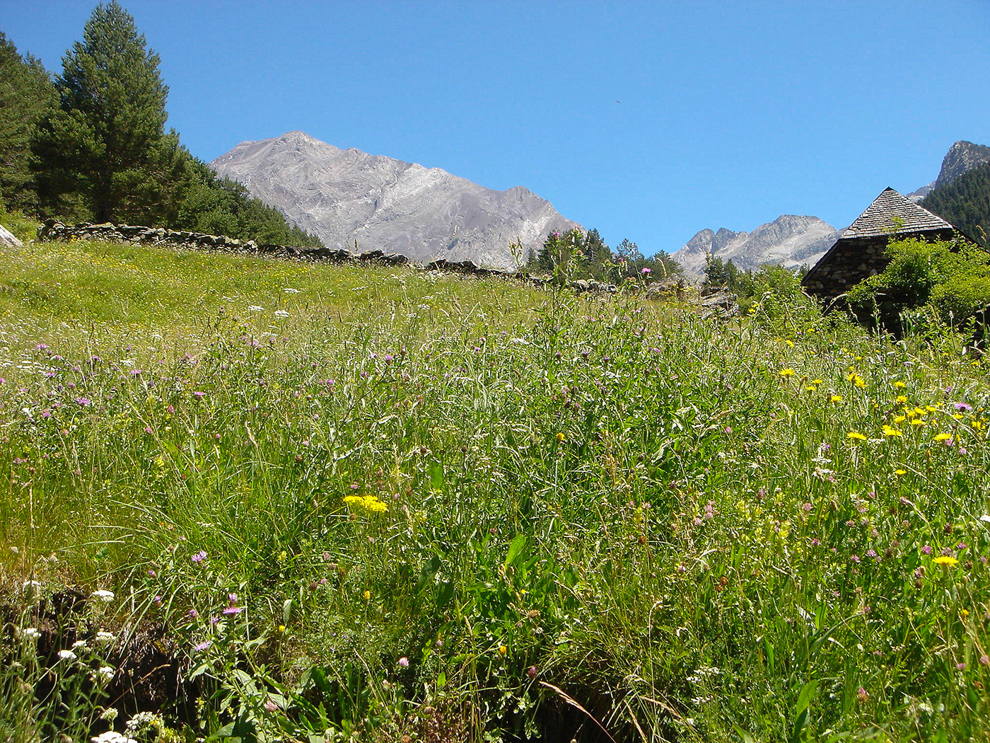 Benasque-Tal auf dem Pyrenäen-Fernwanderweg GR12