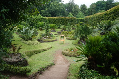 Sao Miguel_Terra Nostra Park