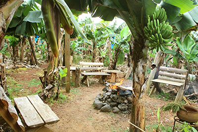 Banana Eco Camp_Camp fire
