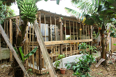 Banana Eco Camp_mittendrin