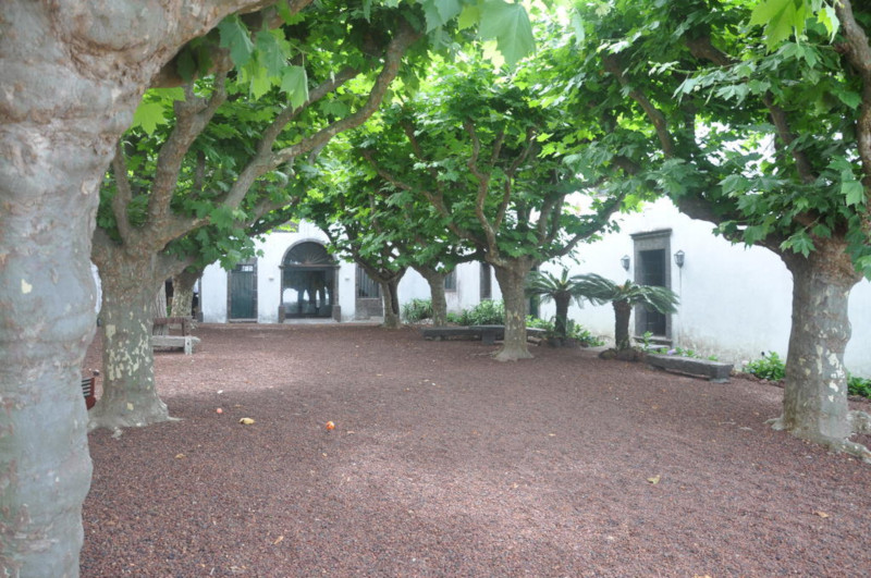 Convento Sao Francisco_garden1