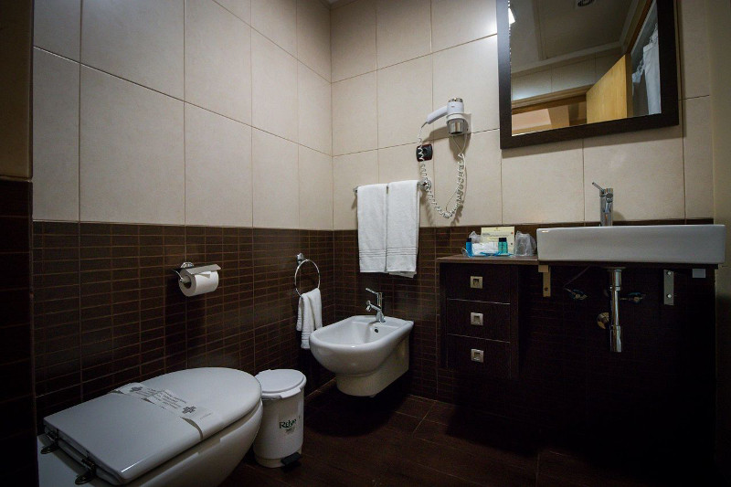 Hotel Talisman_standard bathroom example