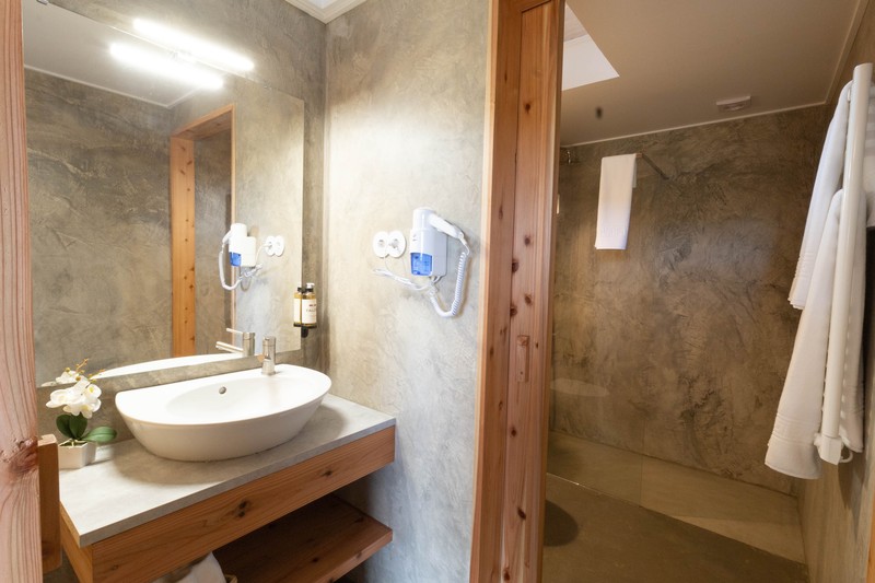 Quinta do Falcao_bathroom example 1