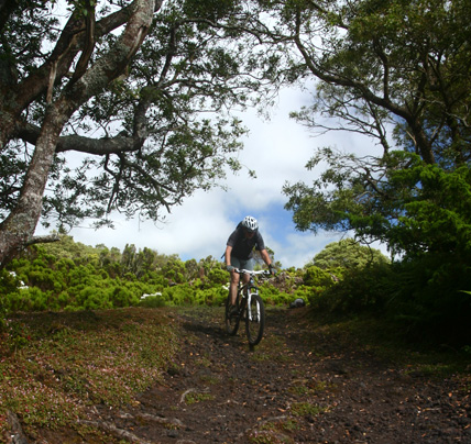 ​​​​​​Azoren_Fahrradtour Zentrum der Insel 3_Terceira