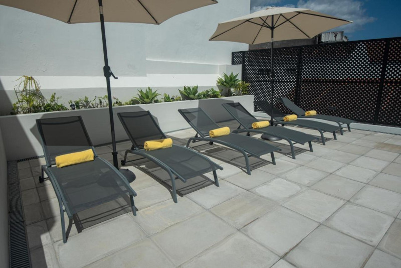 Olive Boutique Guesthouse_pool loungers