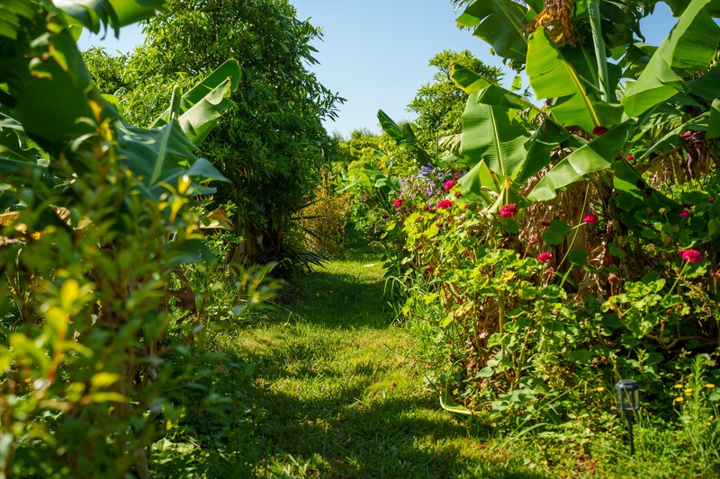 The Plantation Faial_plantation.jpg
