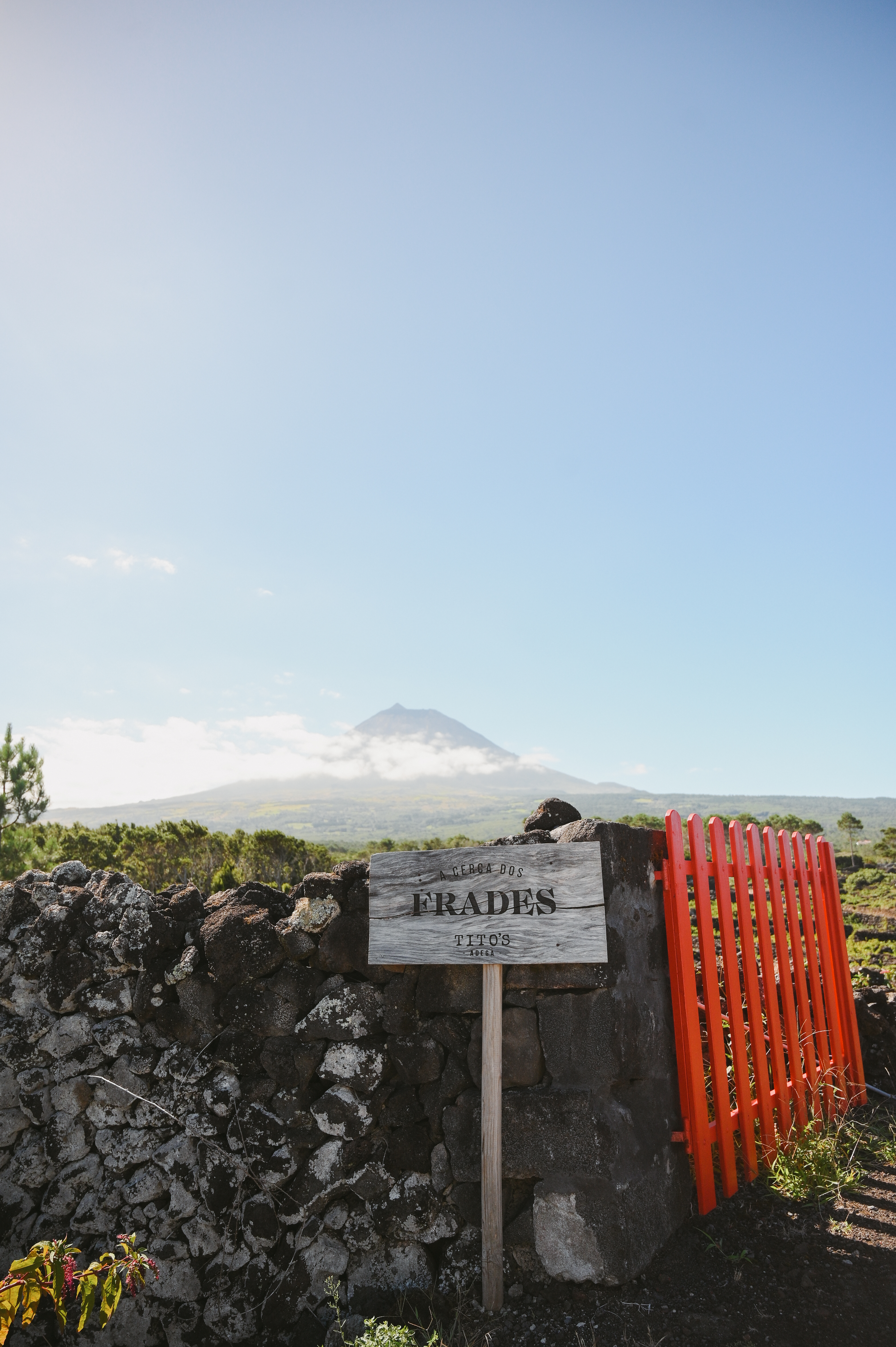A Cerca Dos Frades_vineyards_entrance