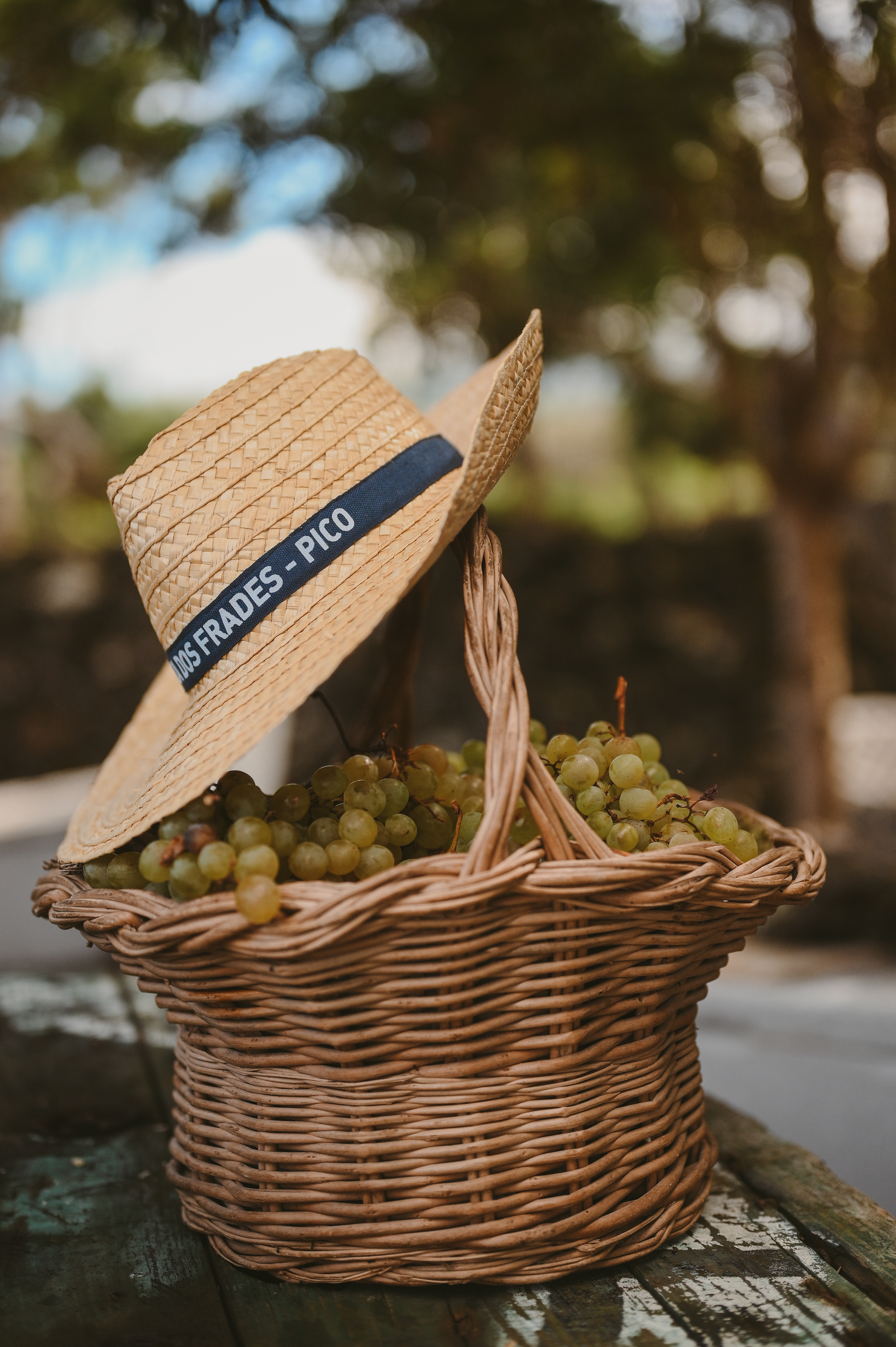A Cerca Dos Frades_grapes