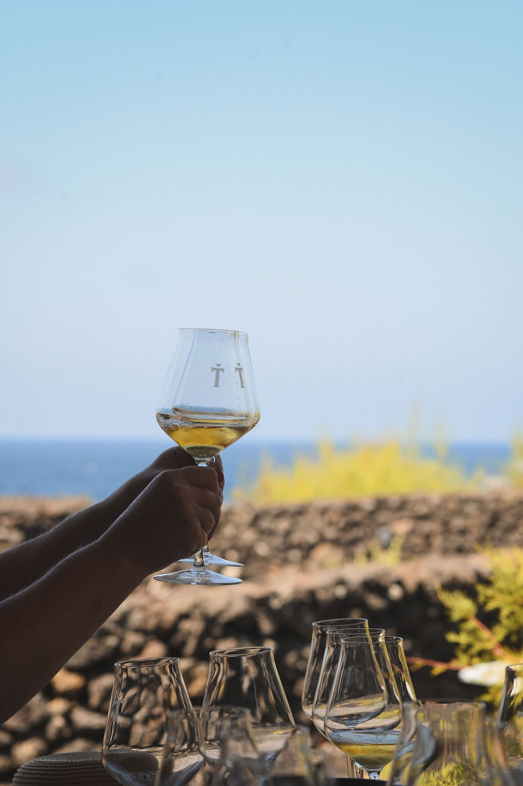 A Cerca Dos Frades_winery