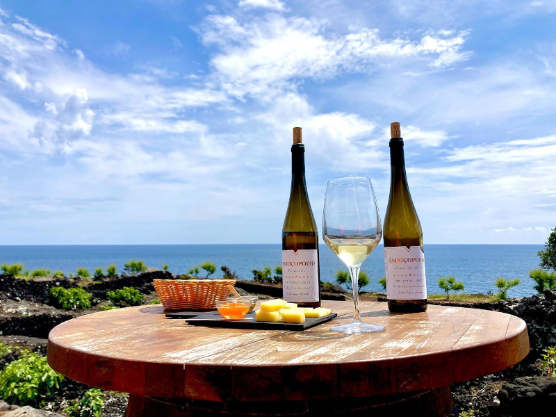 example_wine tour