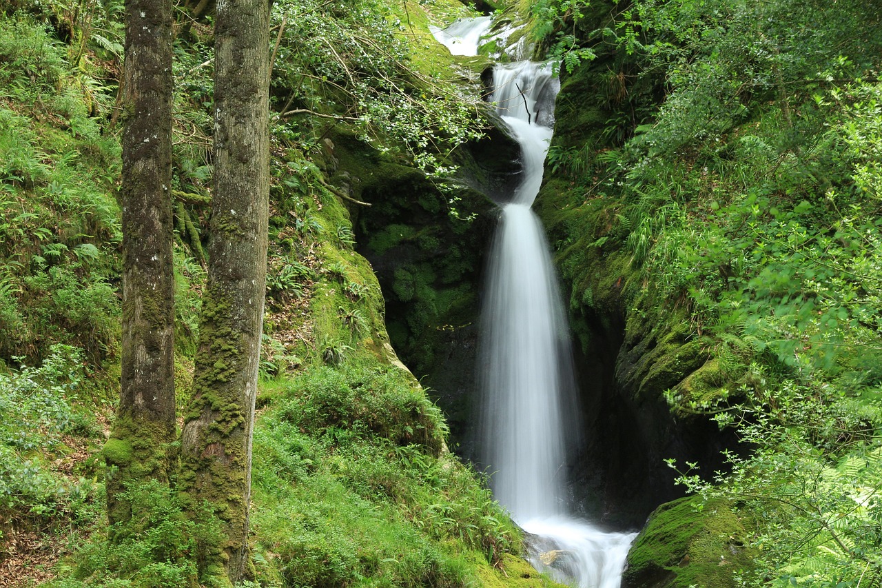 Wasserfall, Wald, Natur