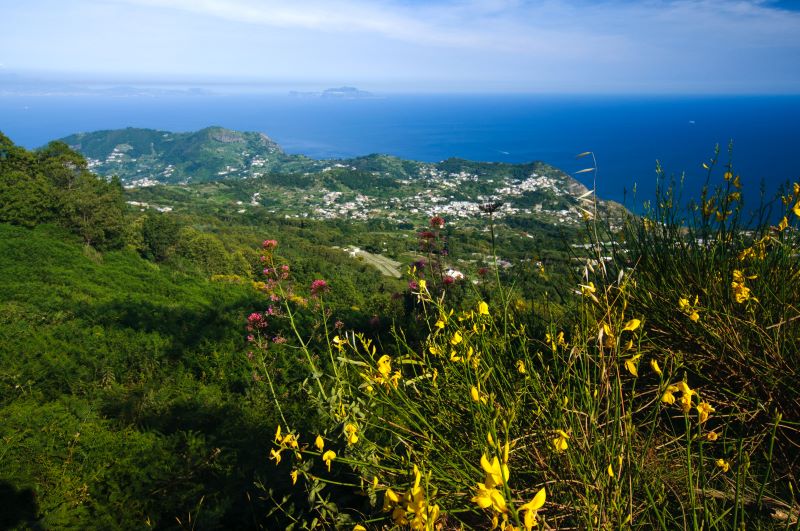 Ischia - Blick vom Monte Epomeo