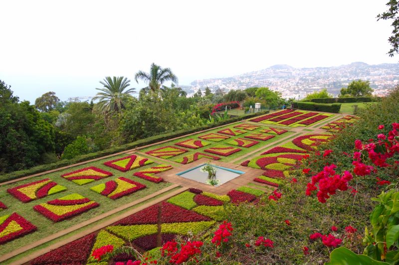 Garten in Funchal