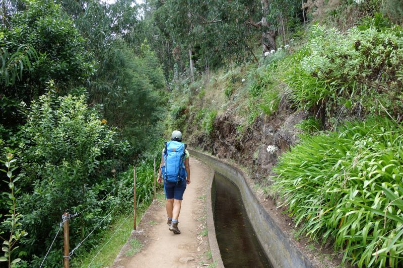 Wandern entlang von Levadas Madeira