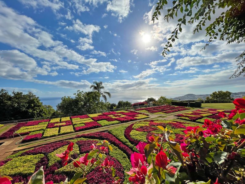 Botanischer Garten in Funchal Monte