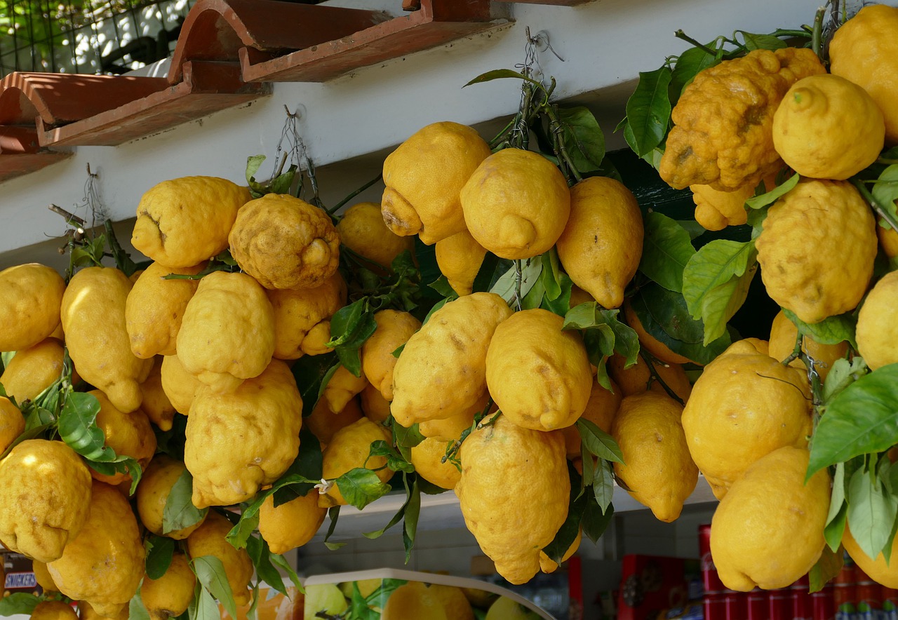 Zitrone, Italien, Mediterran