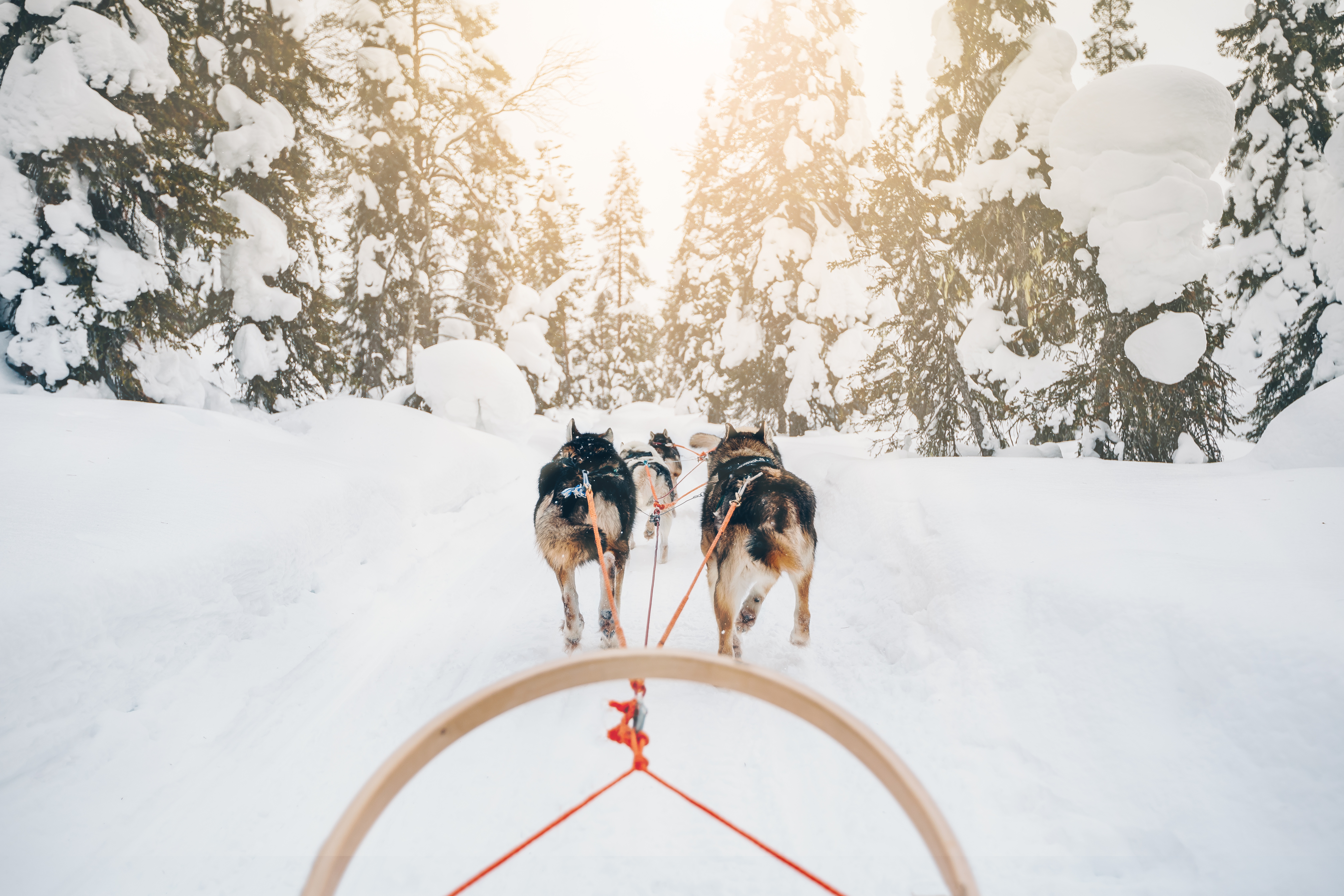 Finnland: Winterabenteuer