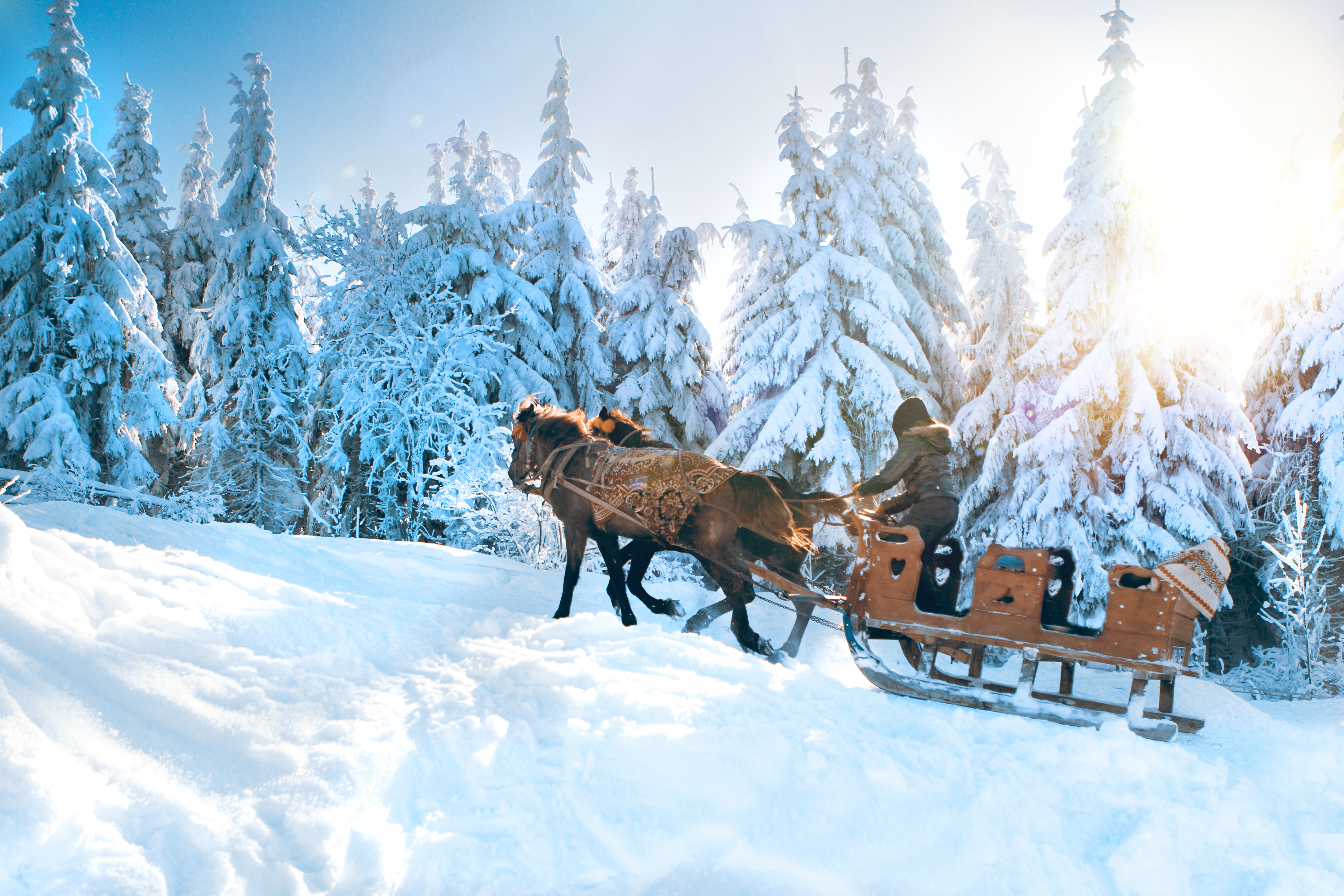Finnland: Winterabenteuer