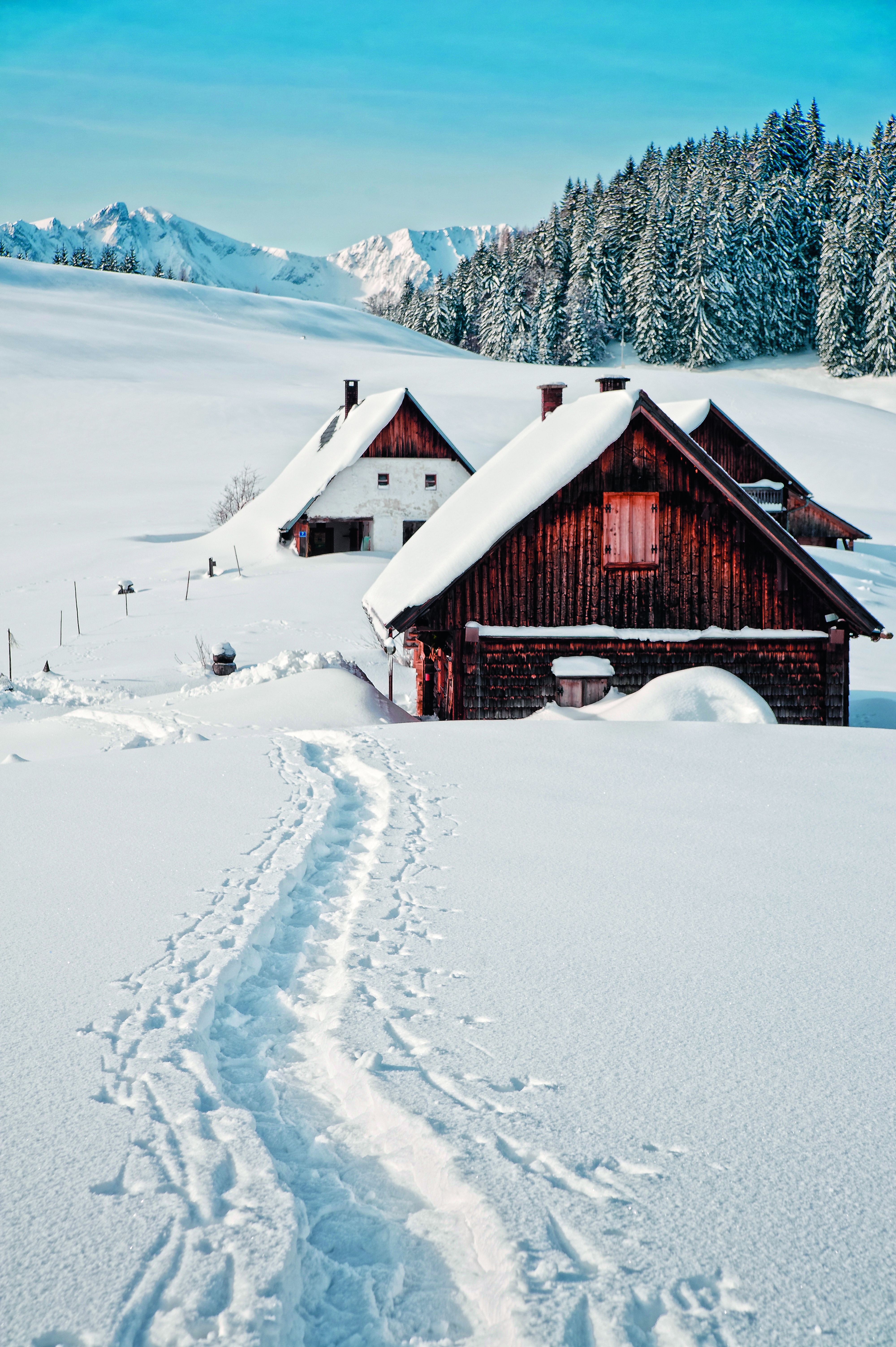 Steiermark: Wandern & Genuss