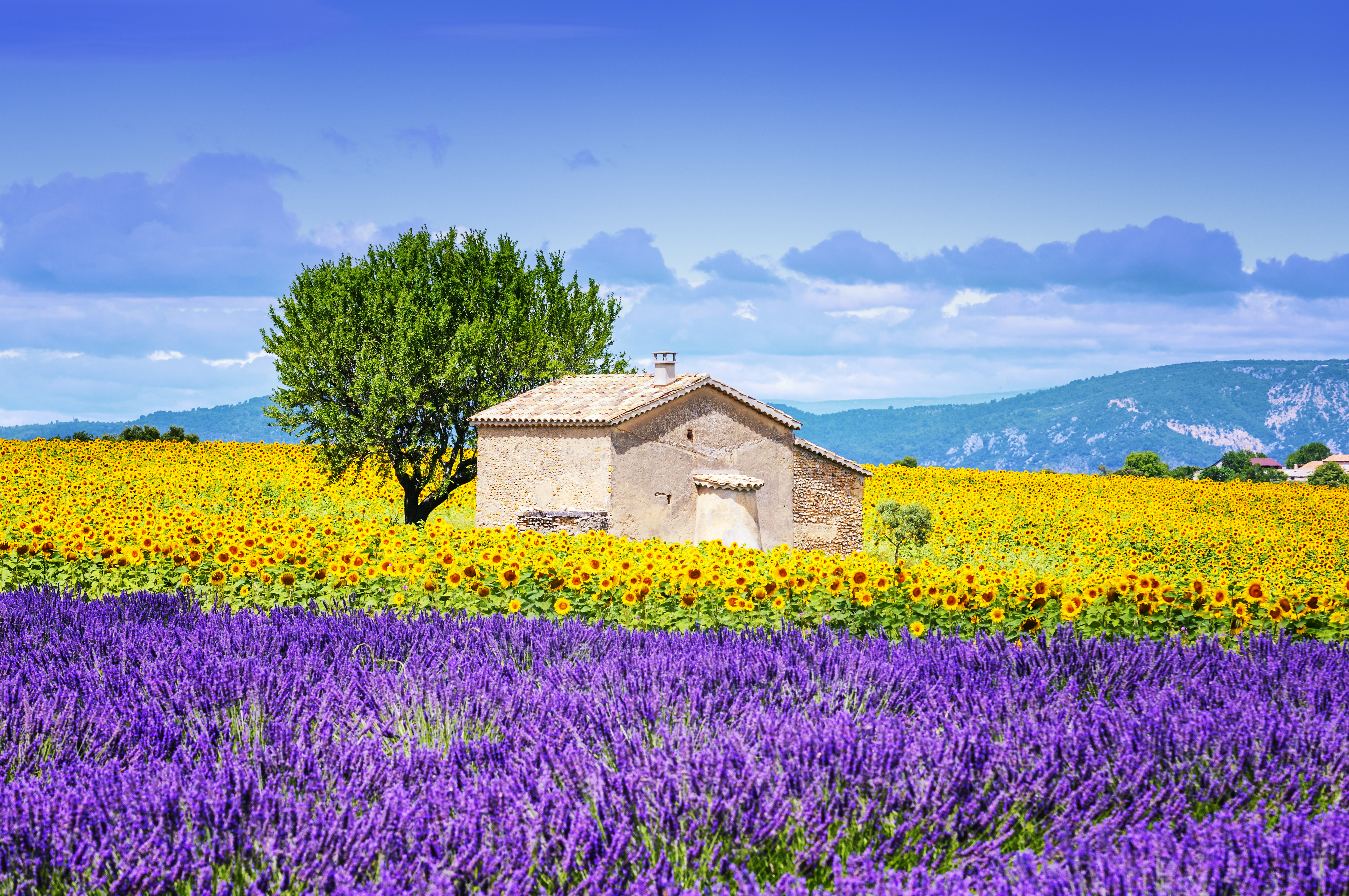 Provence: Kultur & Genuss
