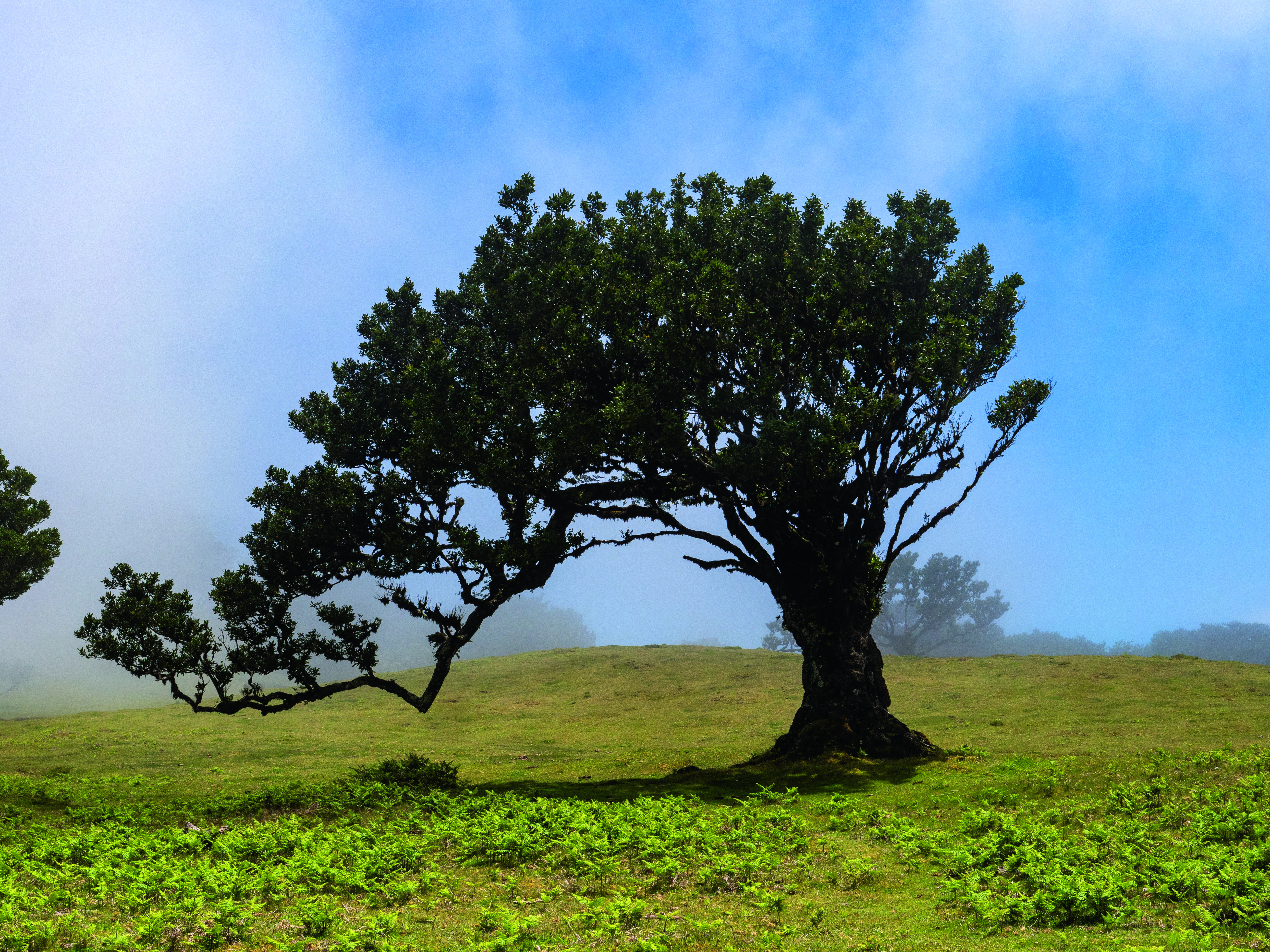 Madeira: Wandern & Kultur mit Flair