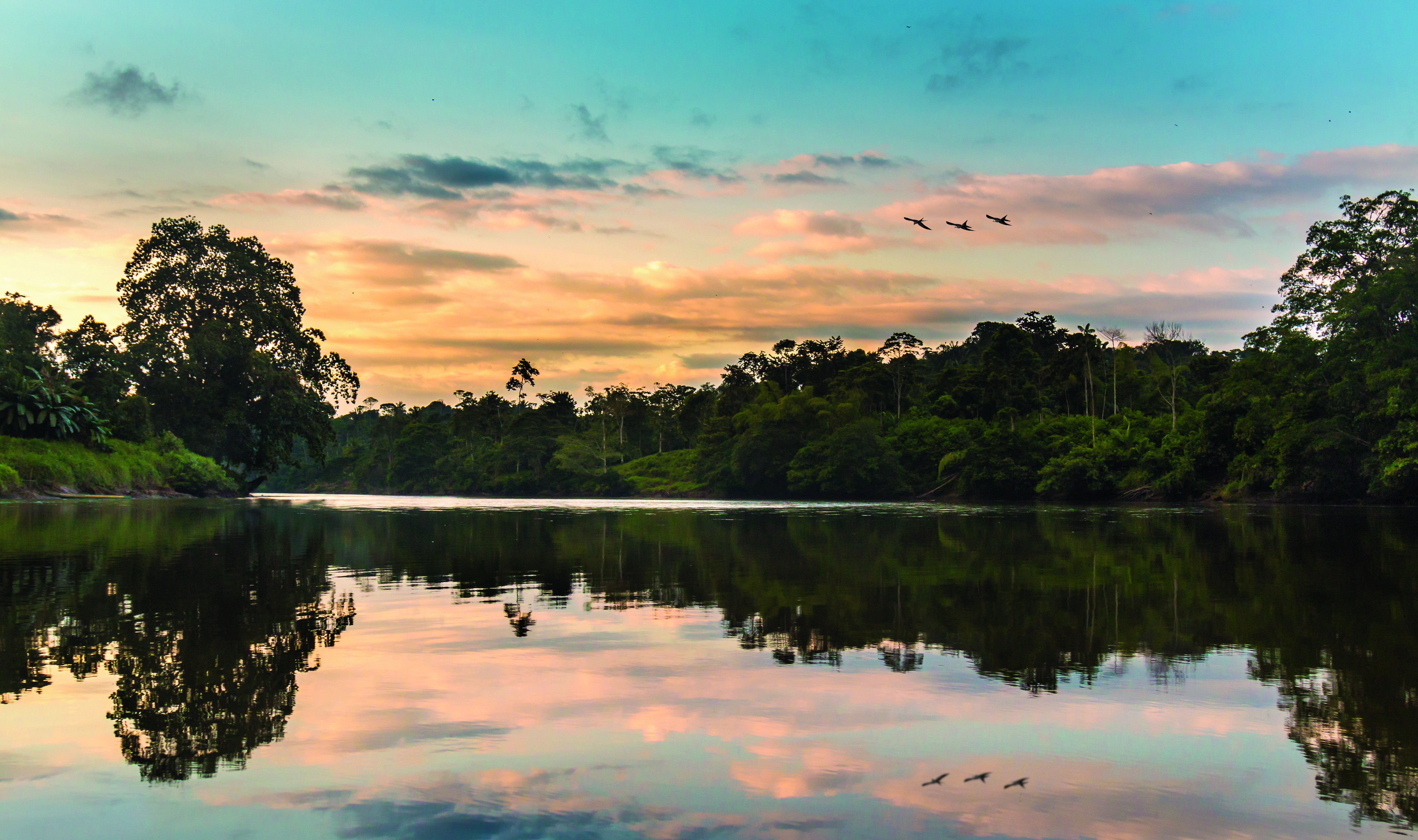 Ecuador & Galapagos: Sternstunden mit Amazonas