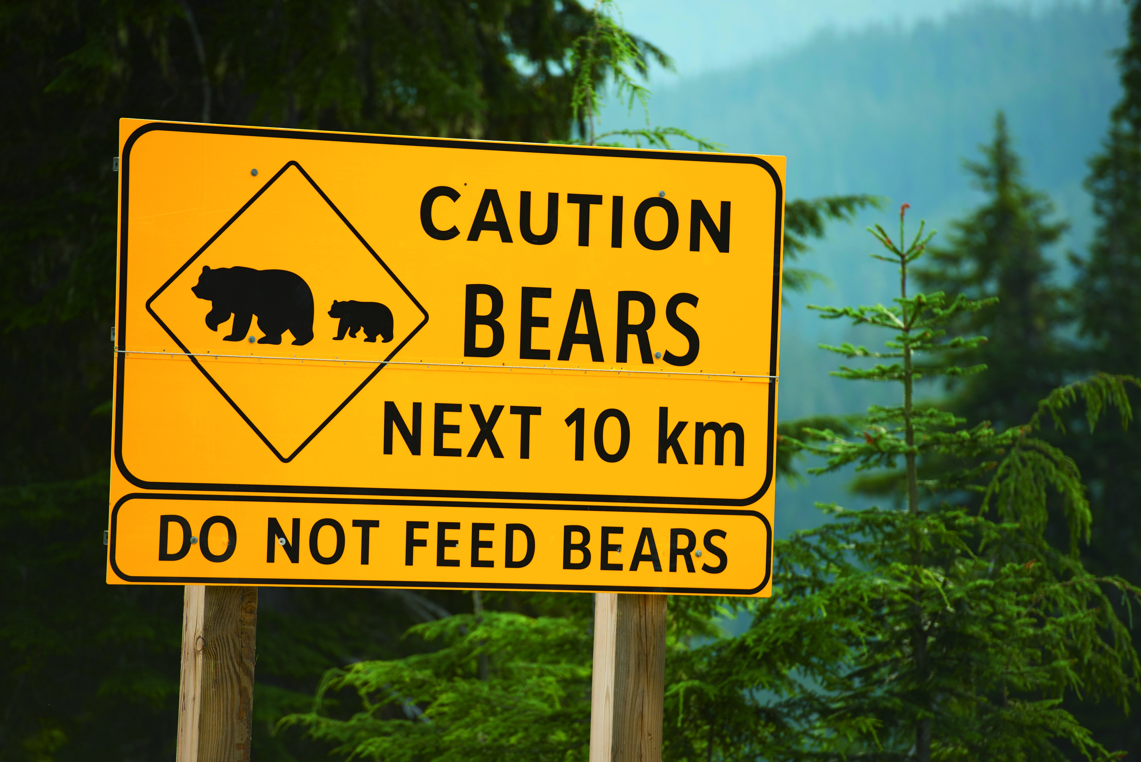 Kanada: Höhepunkte im Westen