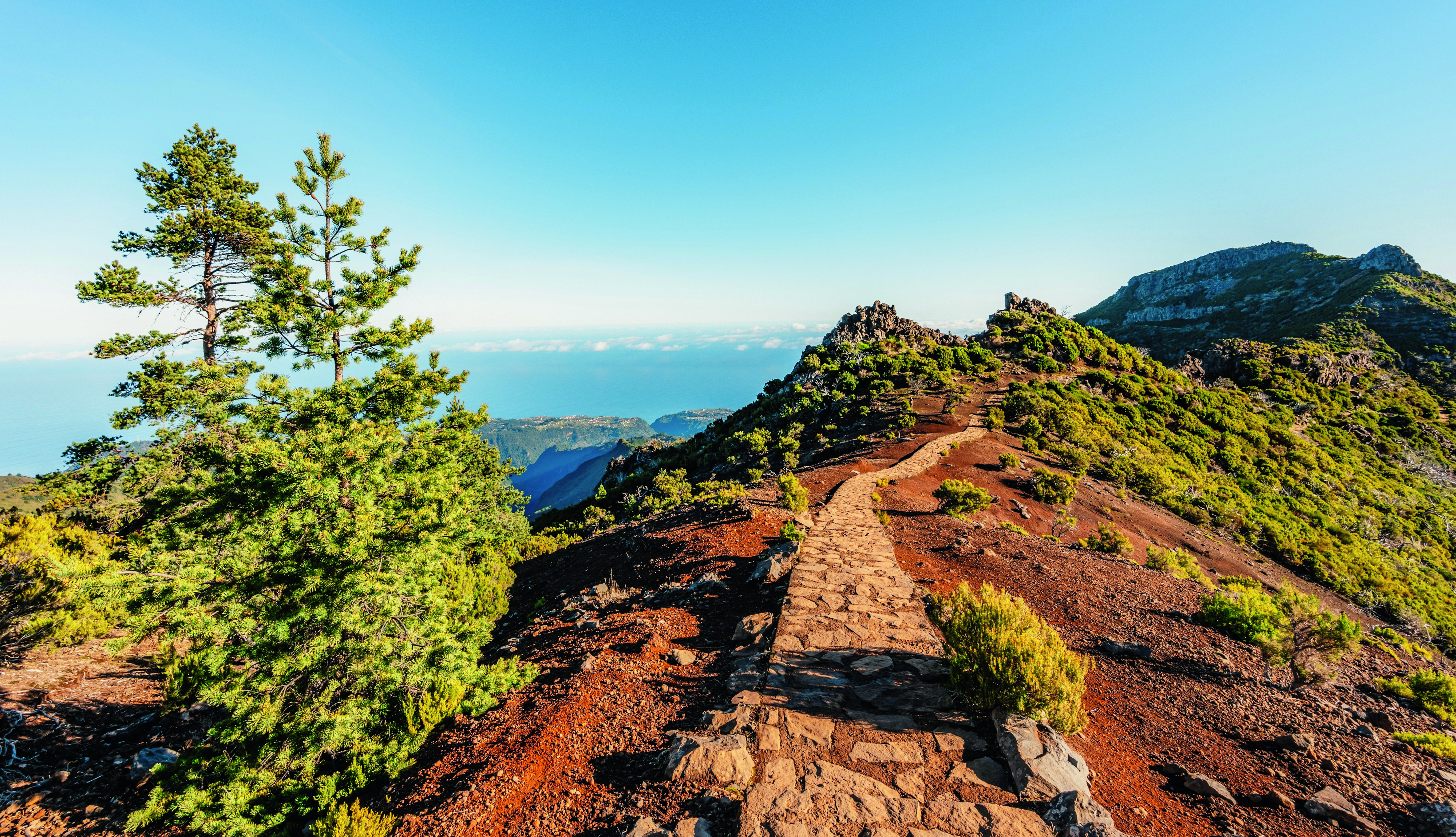 Madeira: Wandern ab Funchal