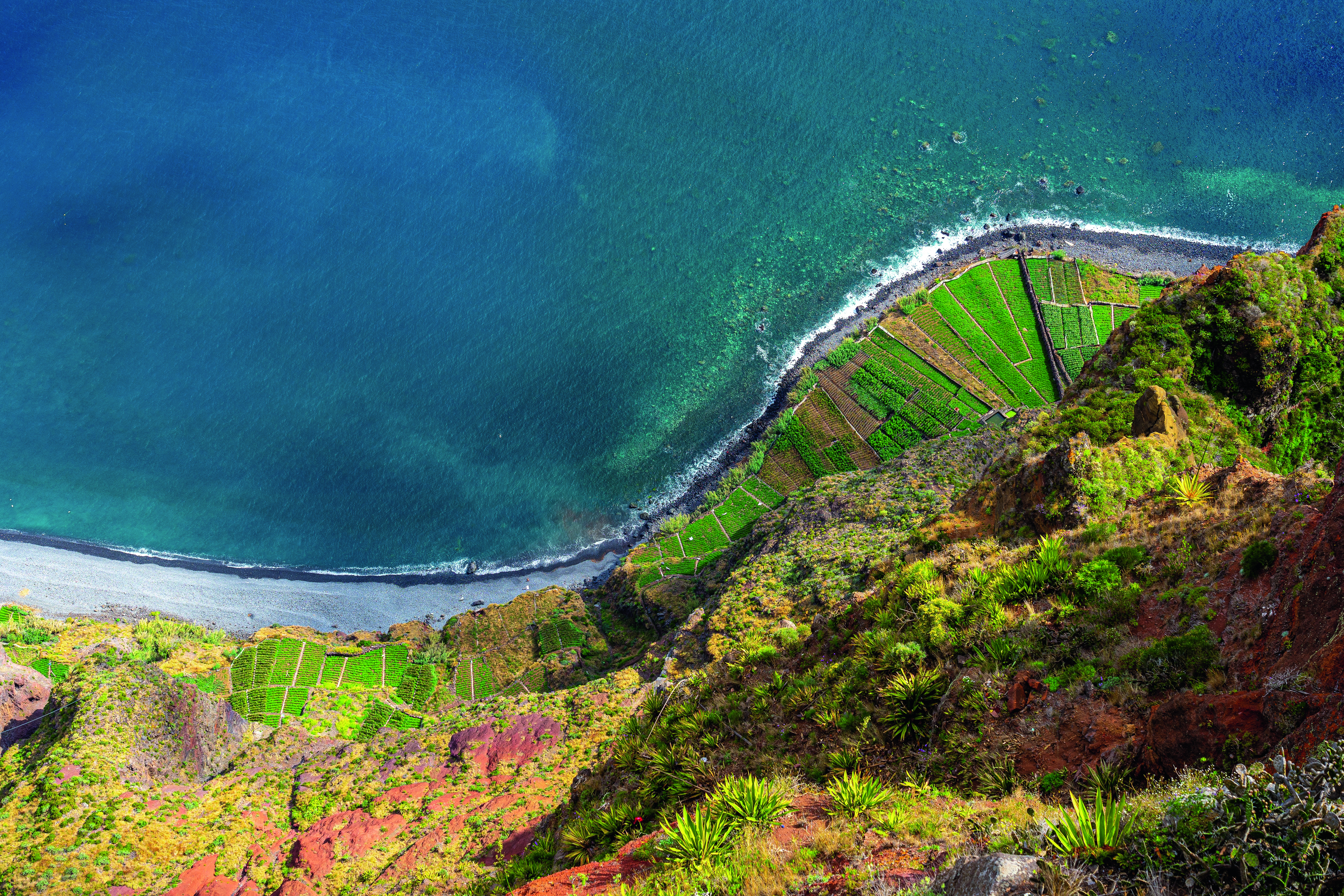 Madeira: Deluxe