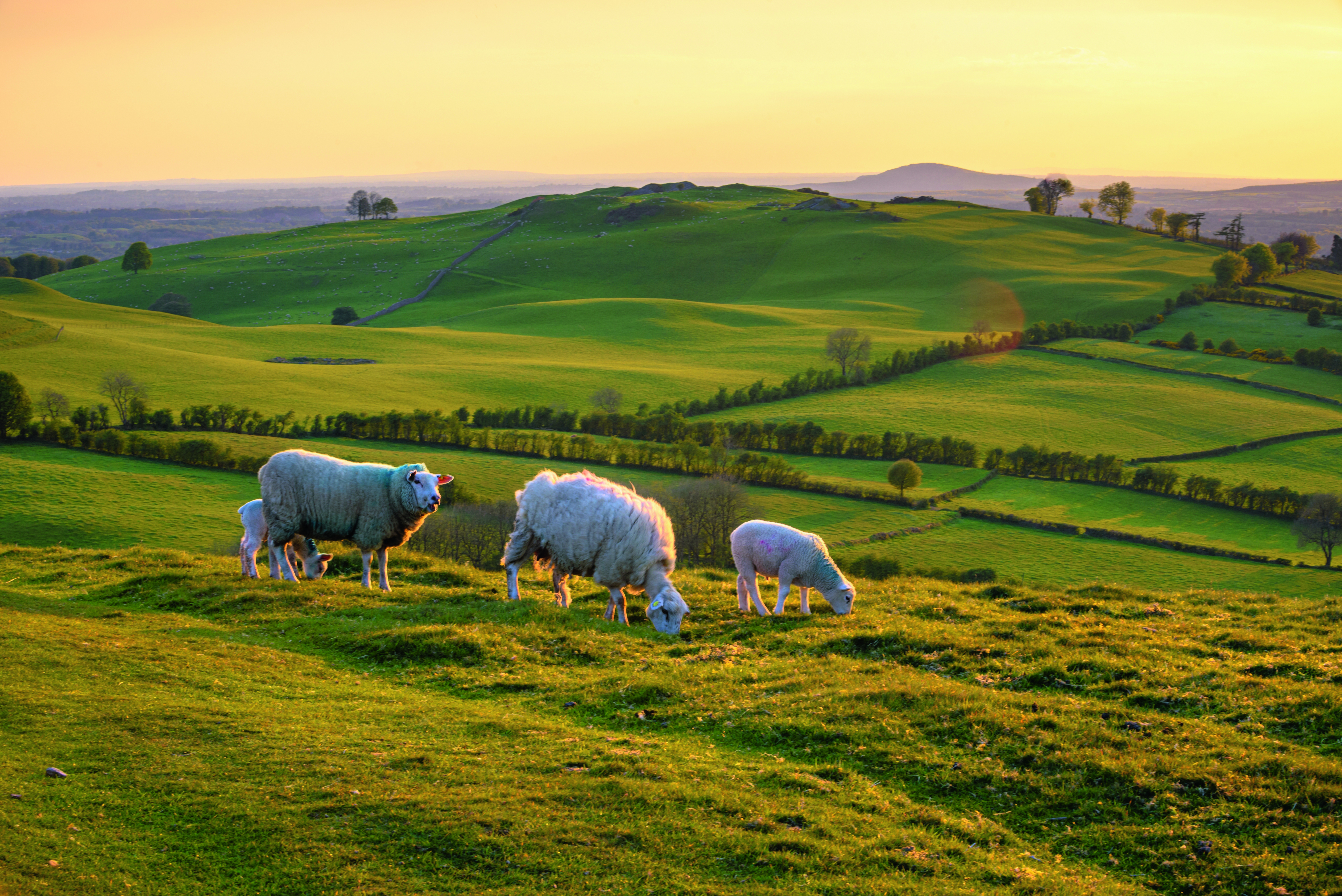 Irland: Höhepunkte