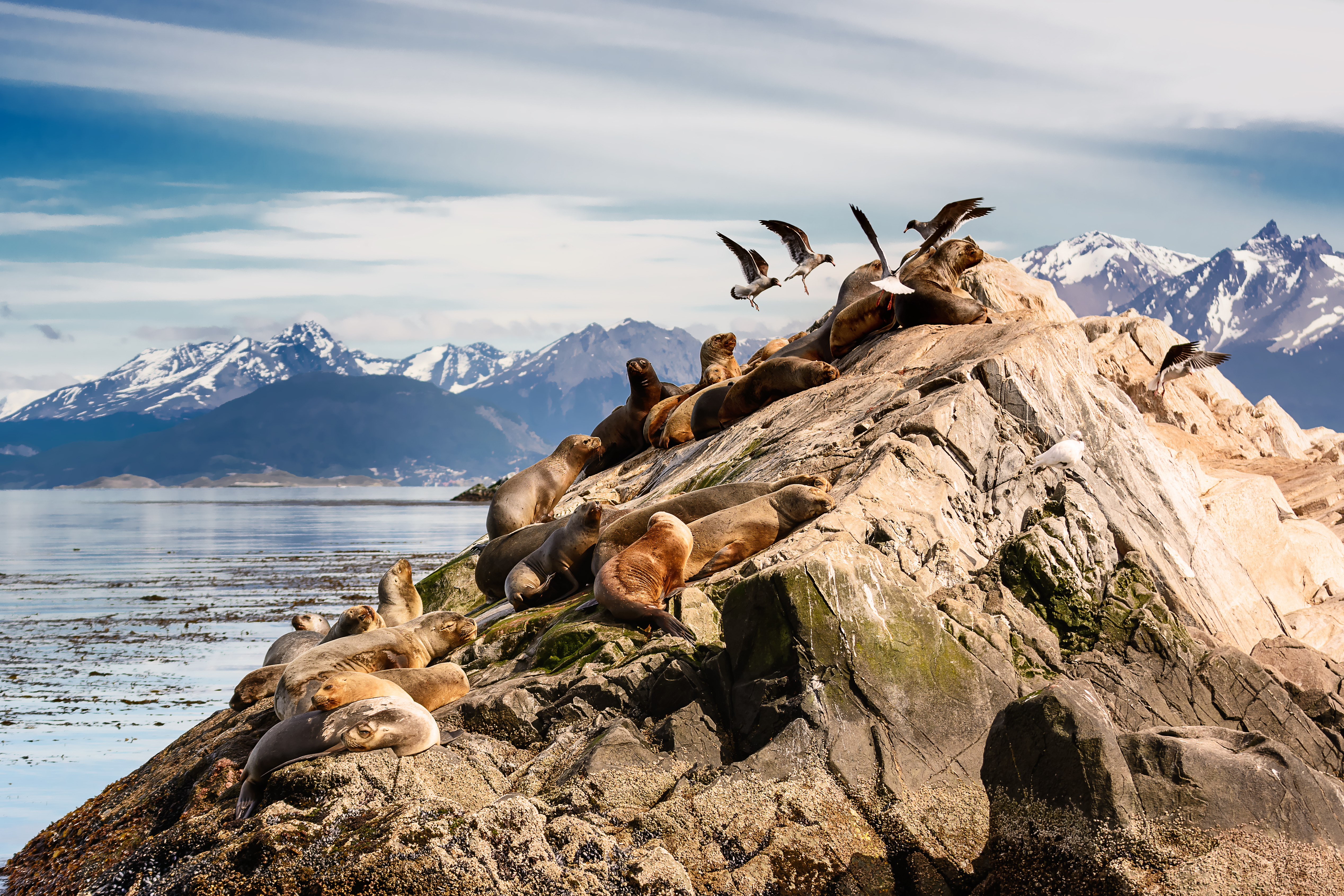 Argentinien & Chile: Höhepunkte in Patagonien