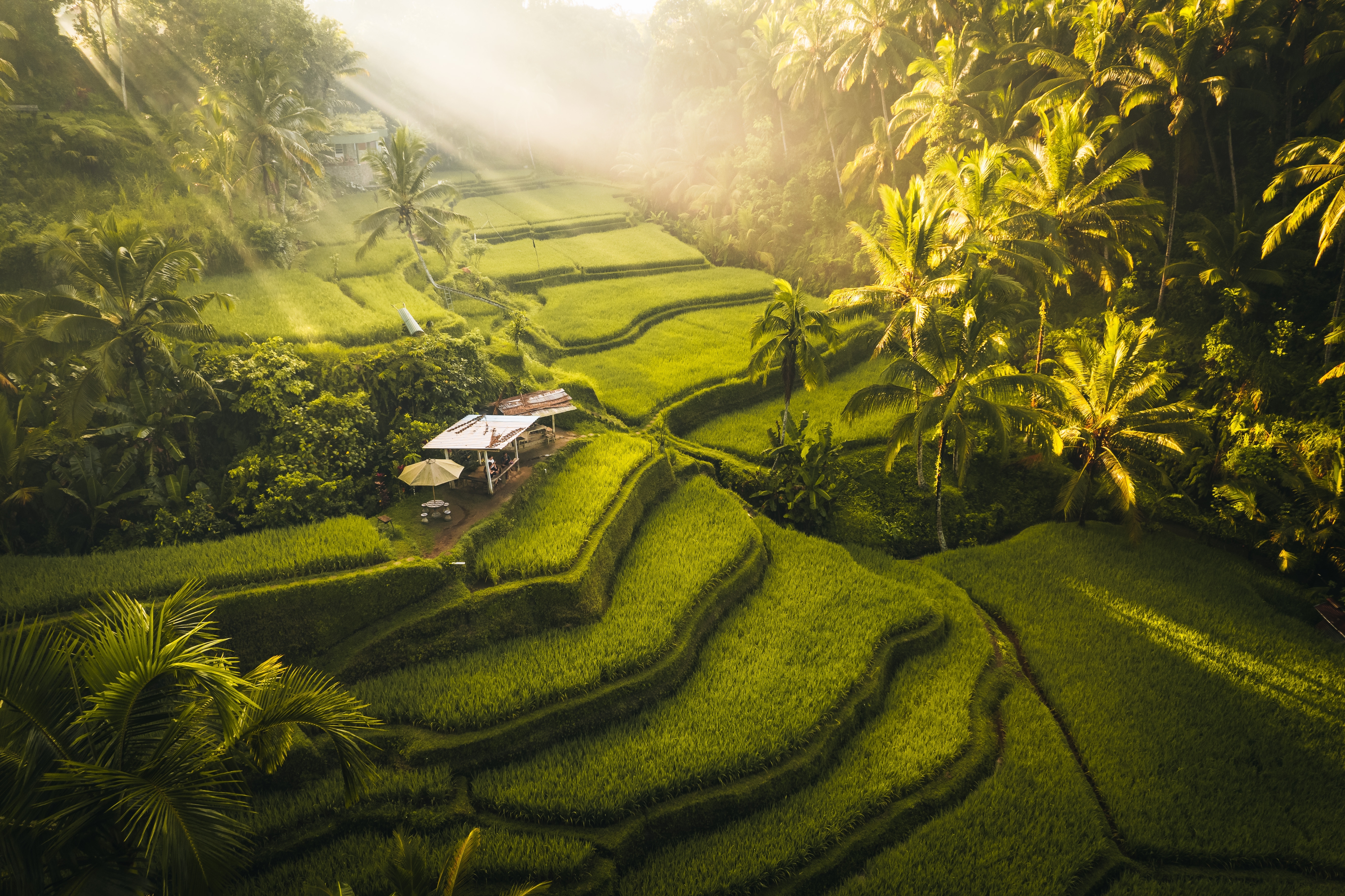 Bali / Indonesien: Deluxe