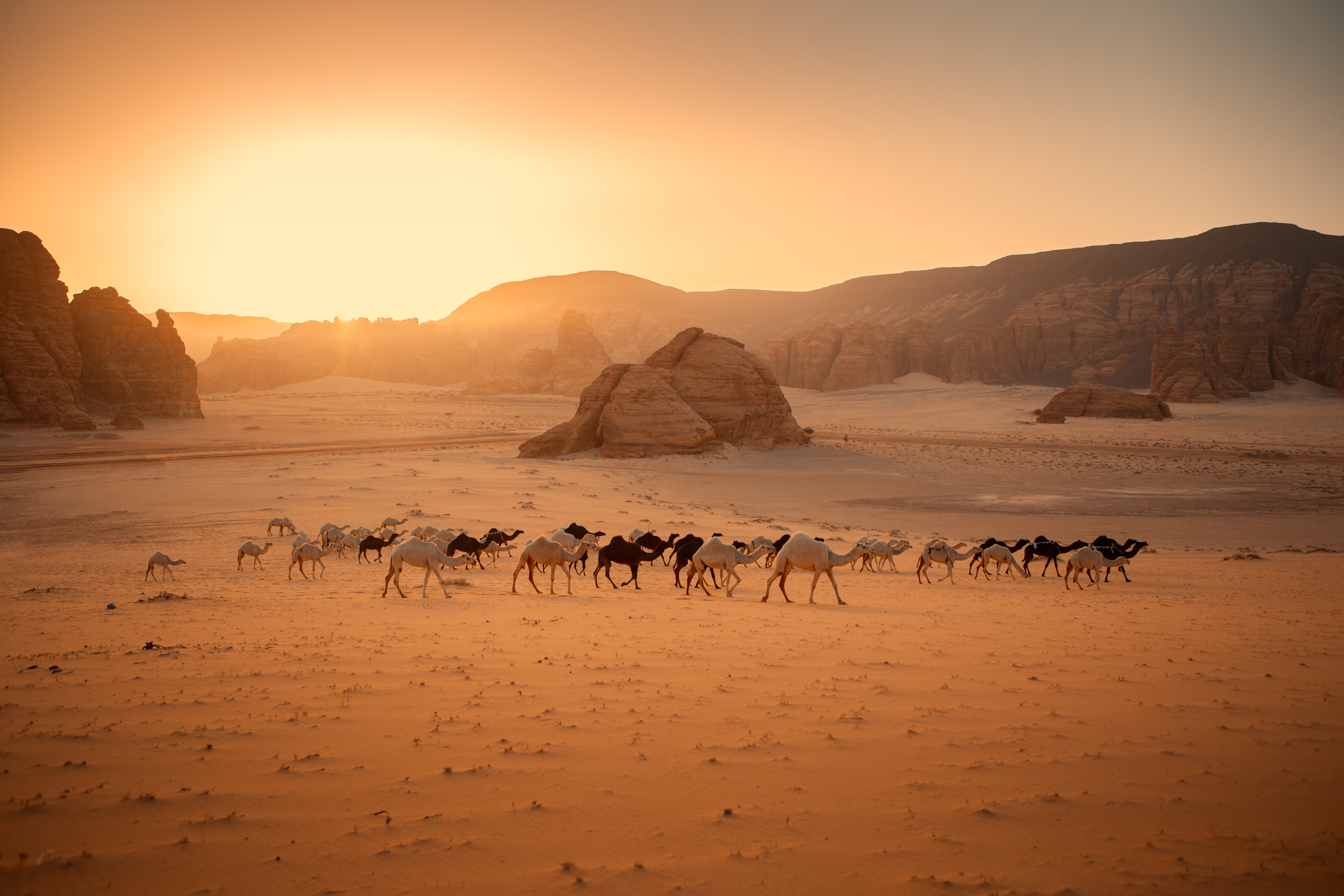 Saudi Arabien: Höhepunkte