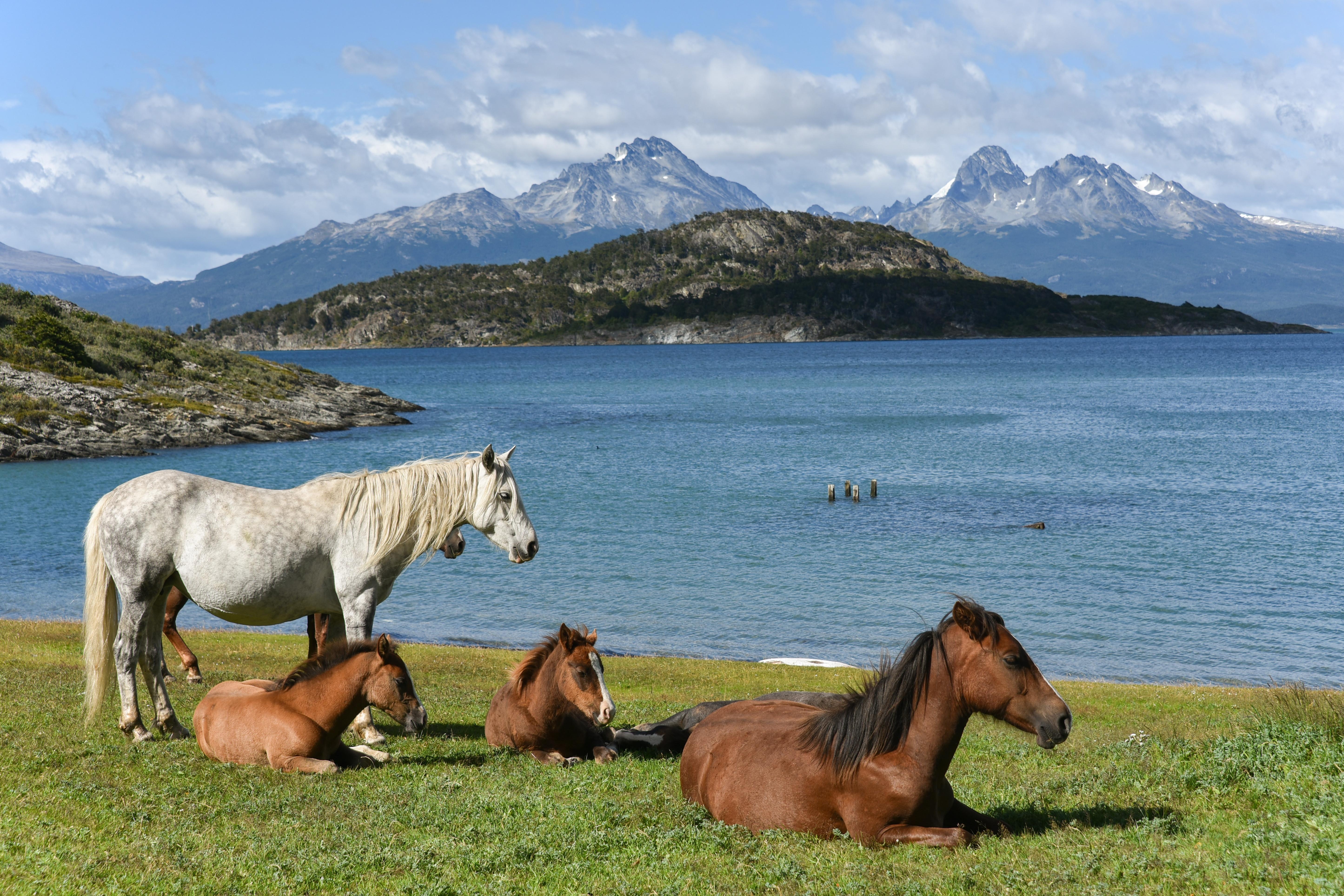 Argentinien & Chile: Die ausführliche Reise in Patagonien