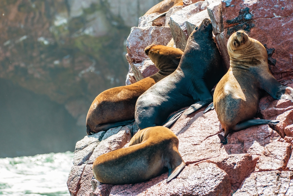 Peru: Höhepunkte