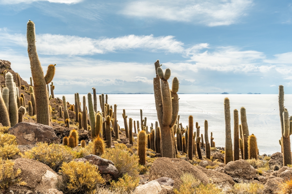Peru & Bolivien: Impressionen