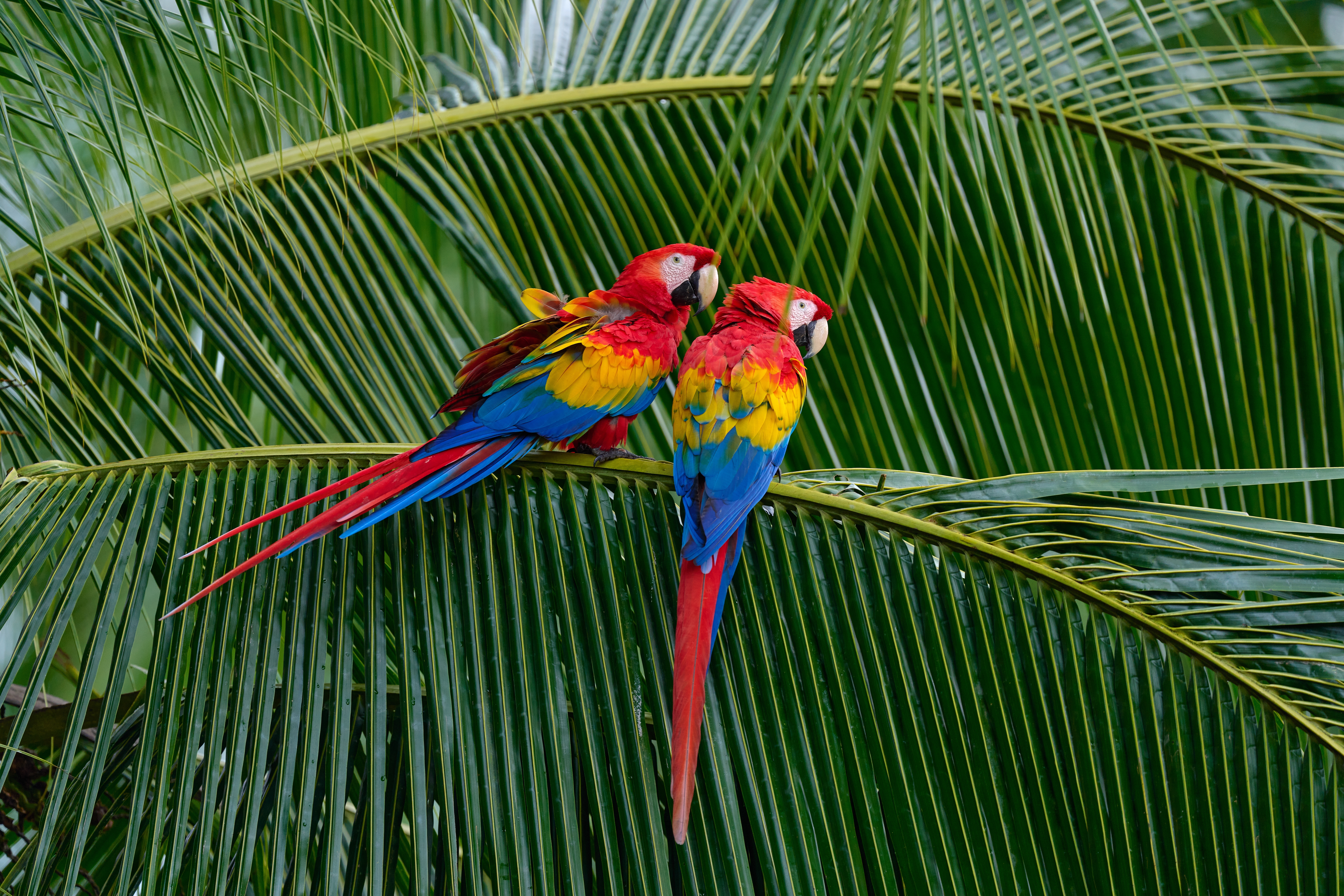 Costa Rica: Mit Flair