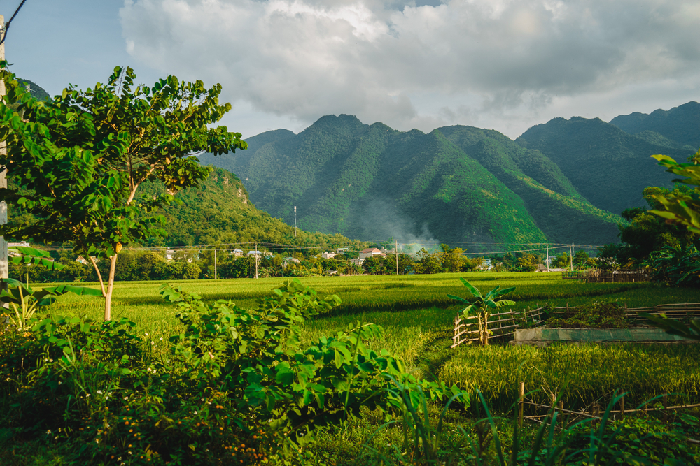 Vietnam & Kambodscha: Die ausführliche Reise