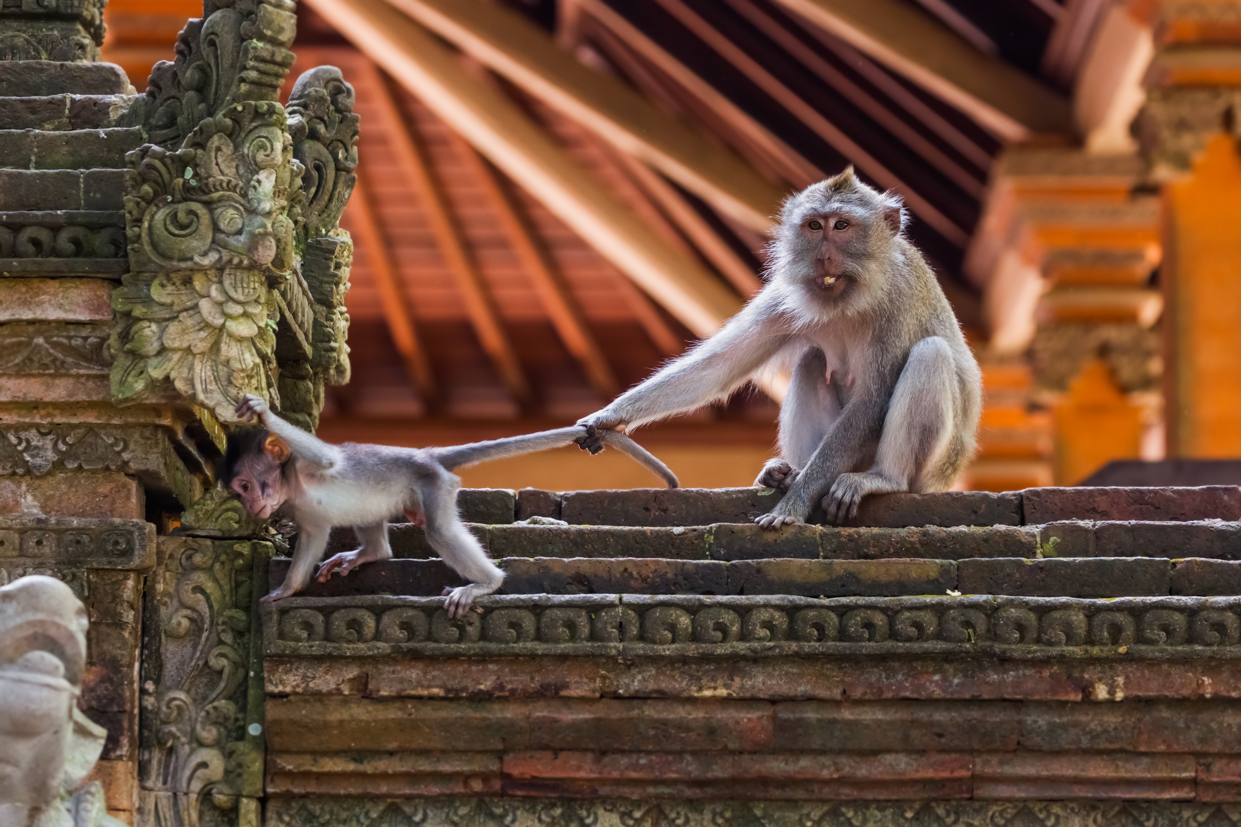 Java & Bali / Indonesien: Höhepunkte