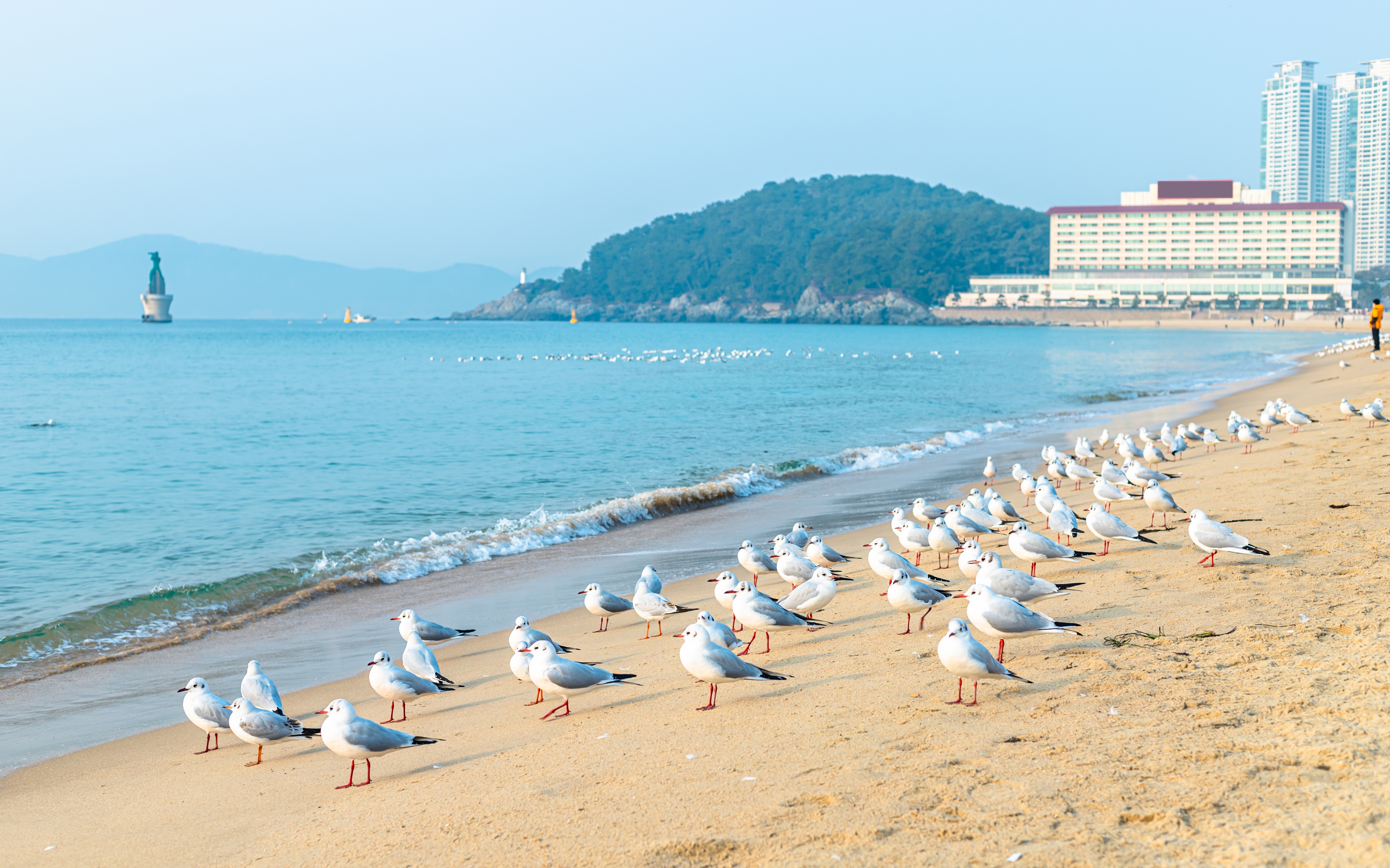 Südkorea: Höhepunkte