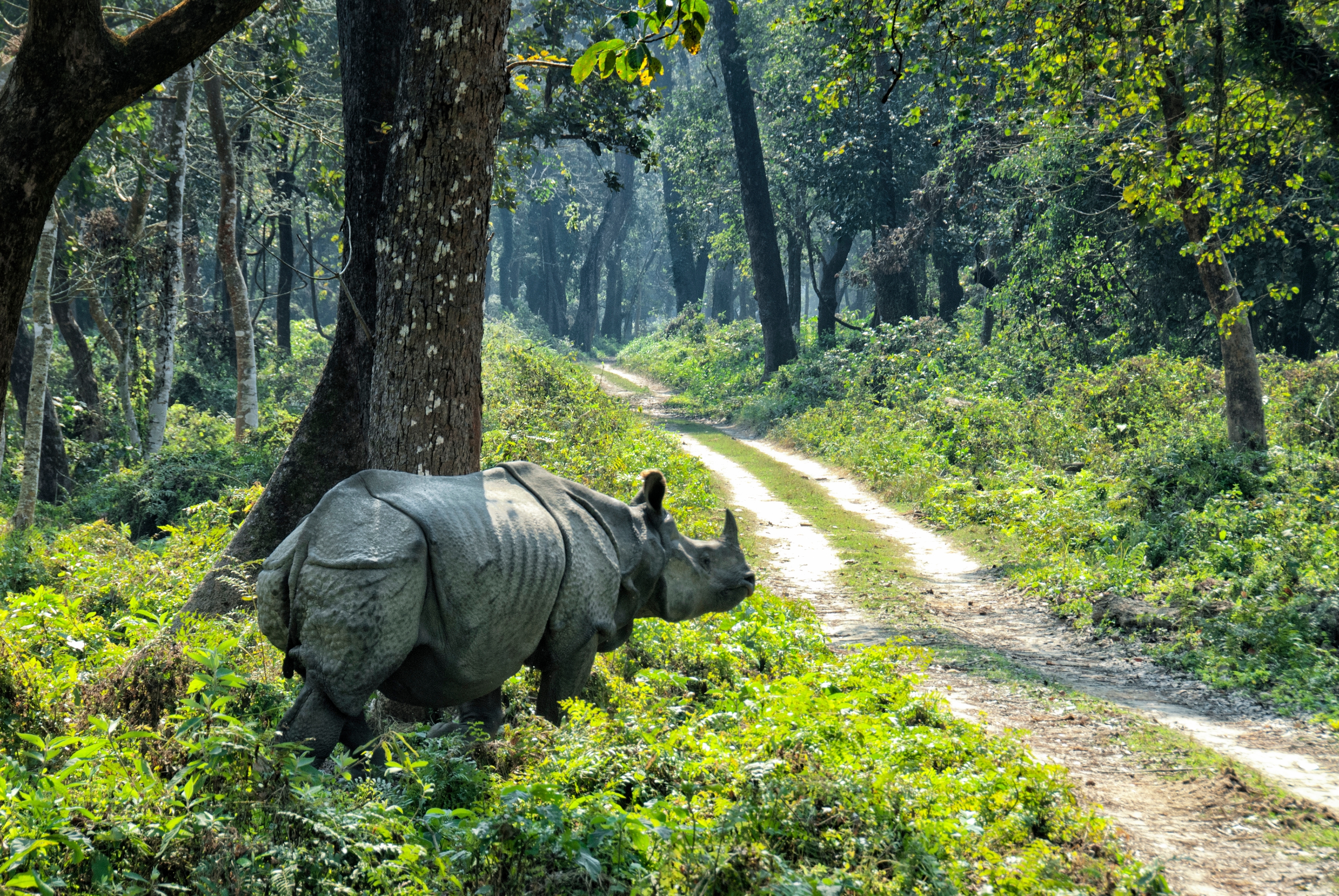Nepal: Höhepunkte