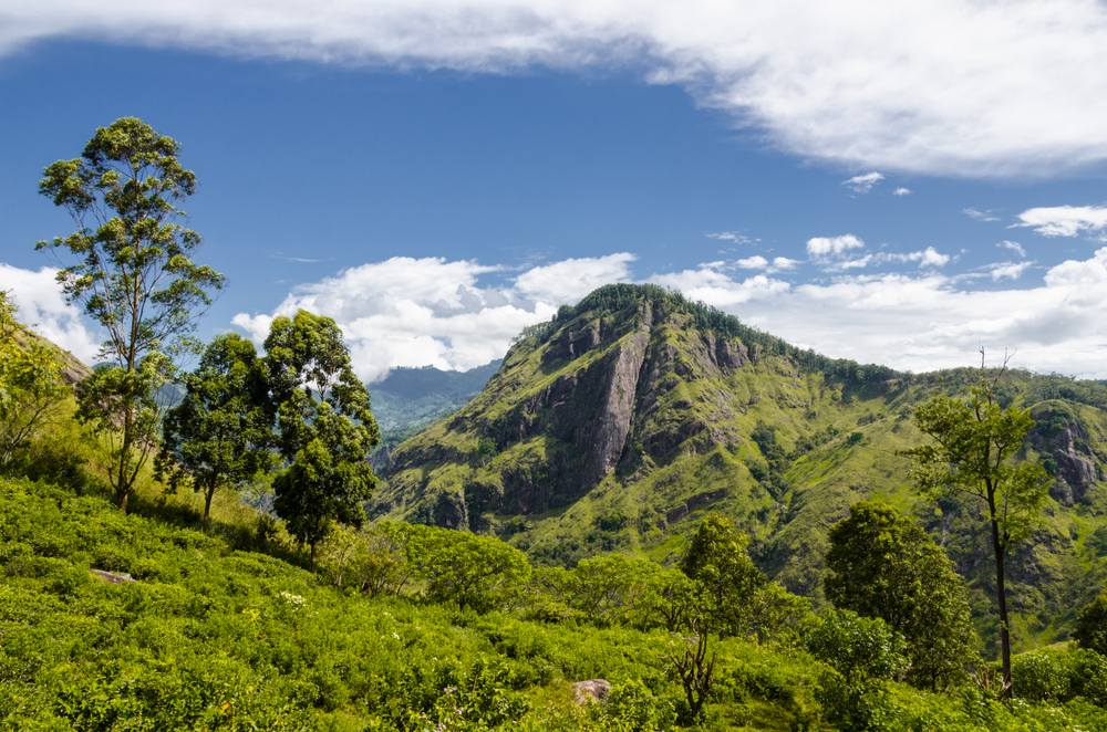 Sri Lanka: Höhepunkte