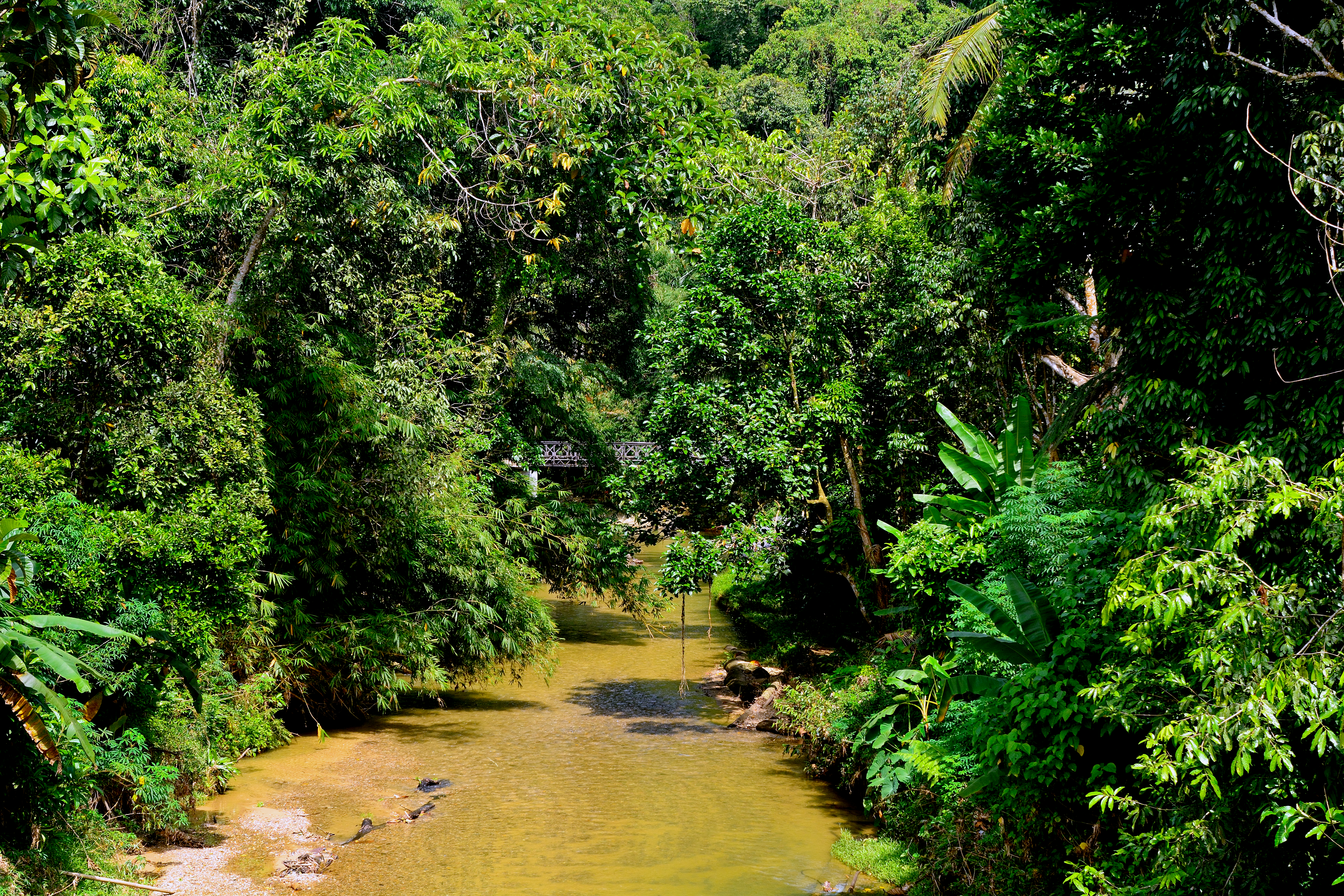 Malaysia: Höhepunkte auf Borneo