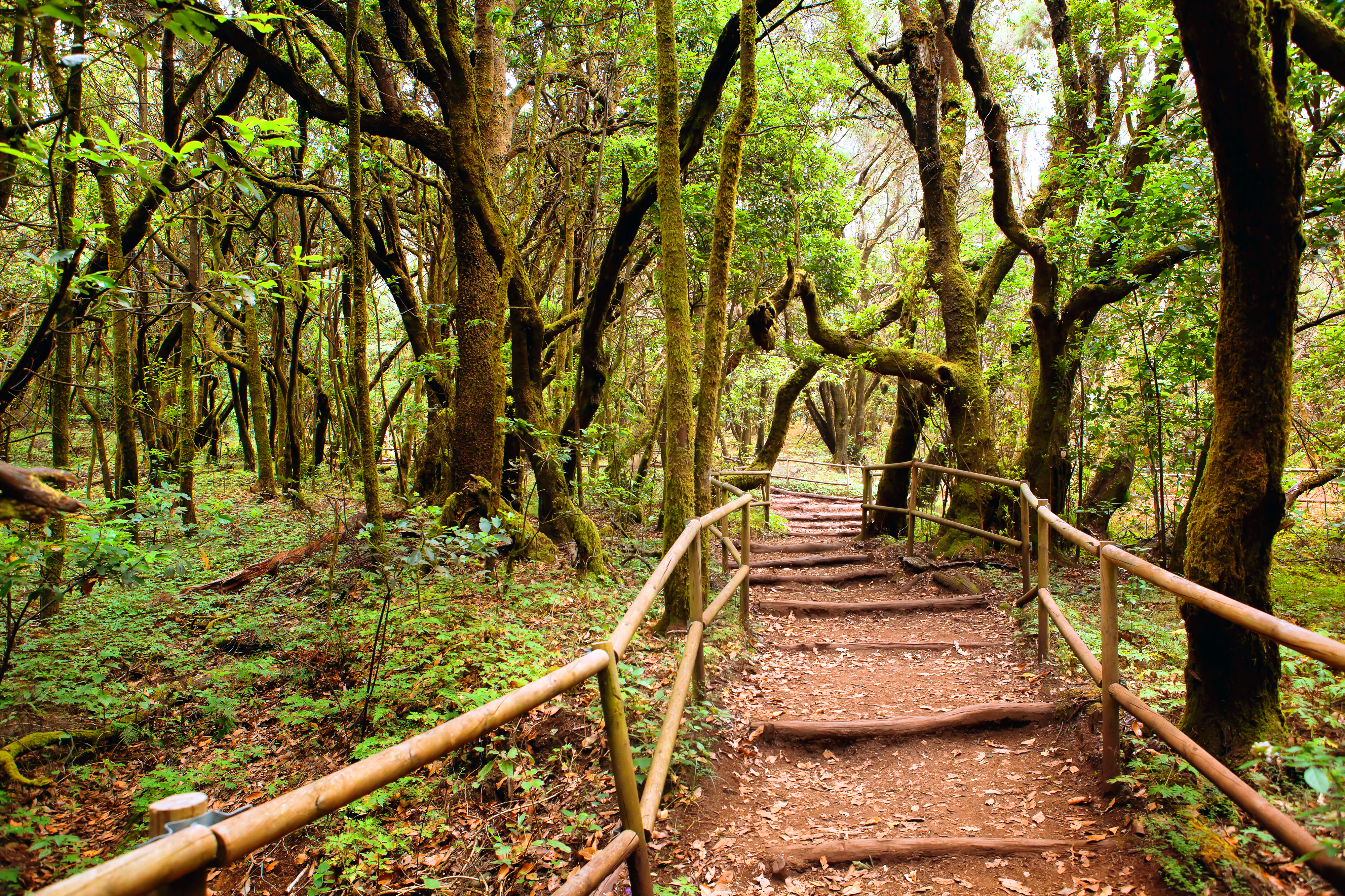 La Gomera: Wandern & Erholung