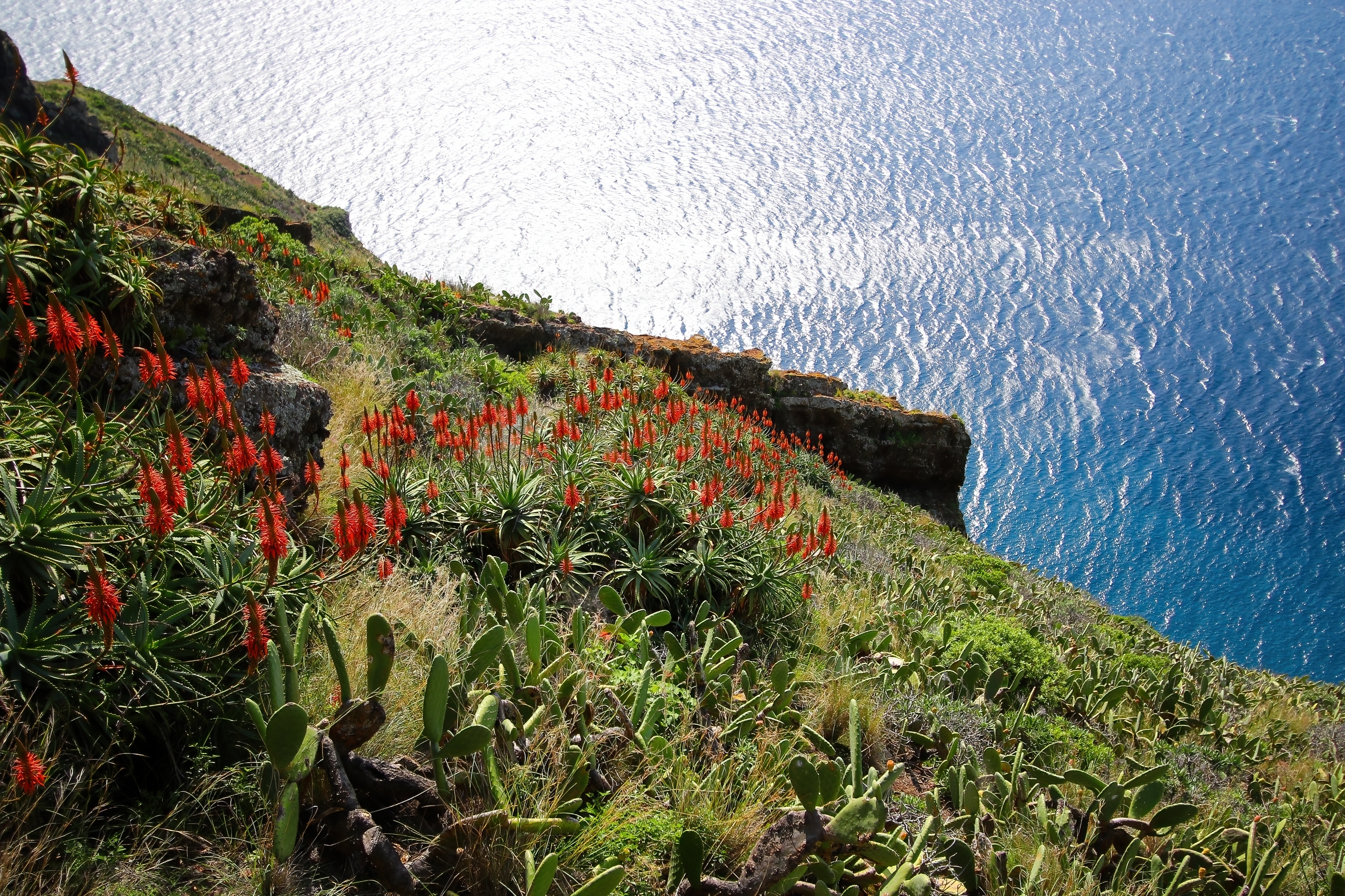 Madeira: Mit Flair