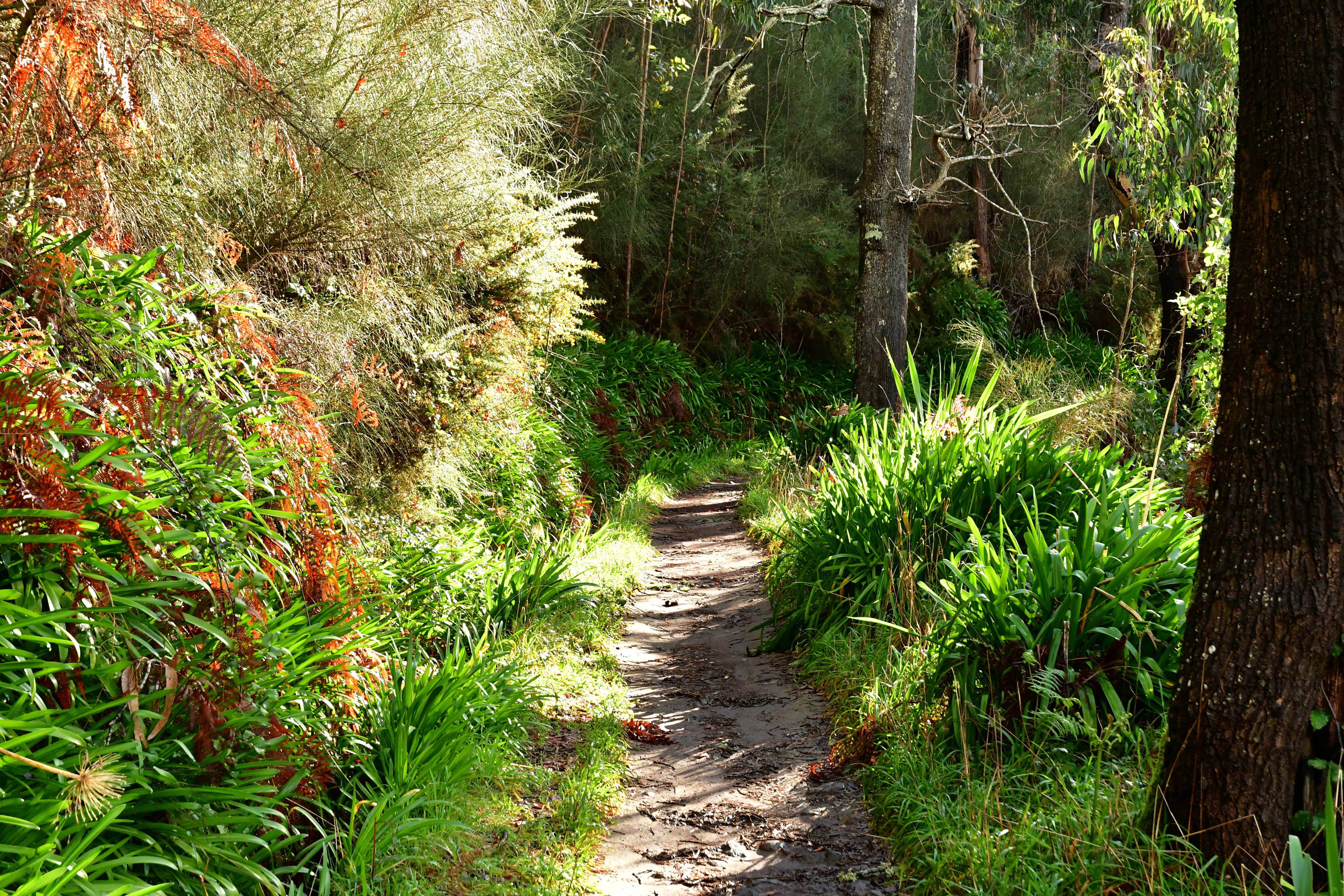 Madeira: Impressionen
