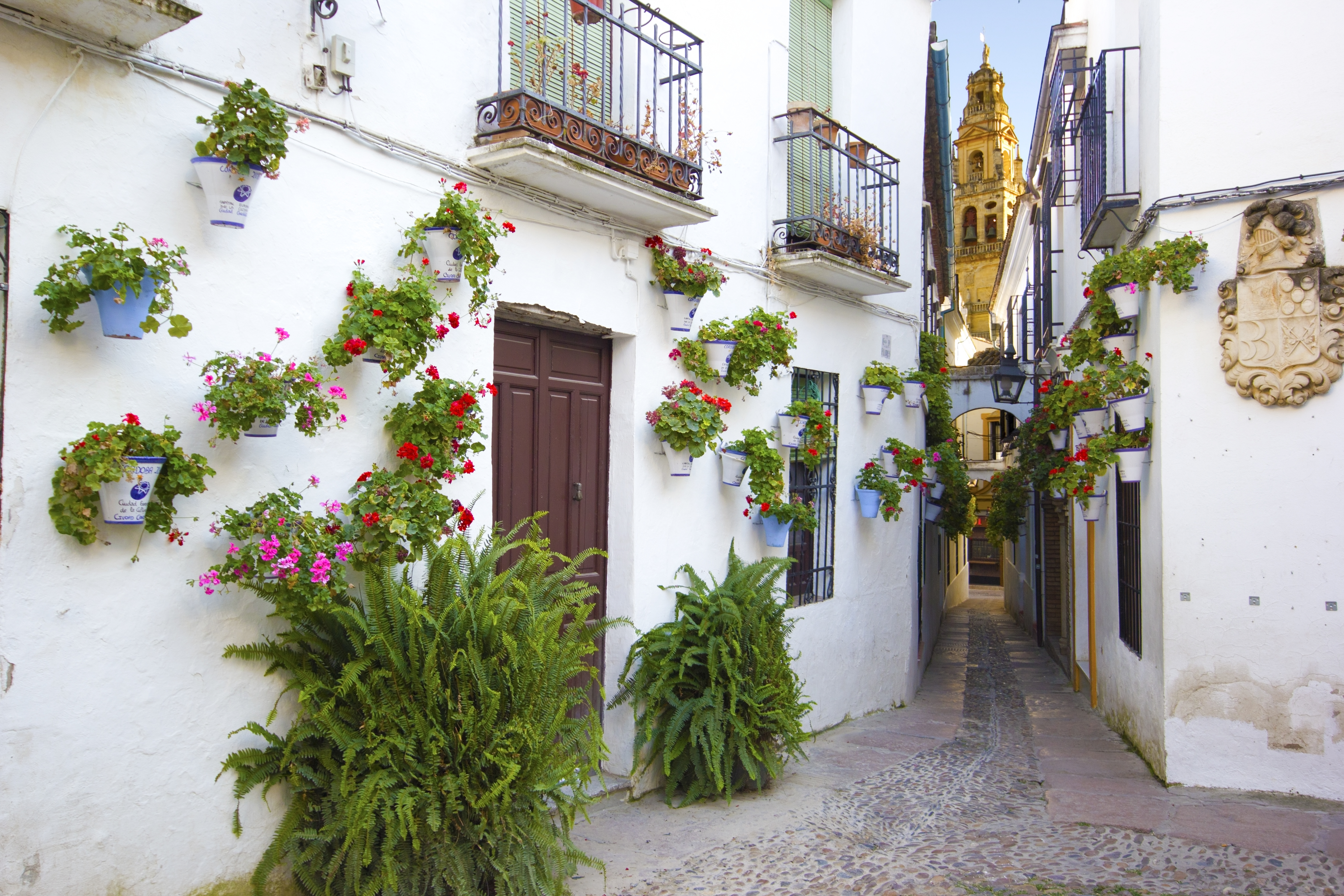 Andalusien: Impressionen mit Flair