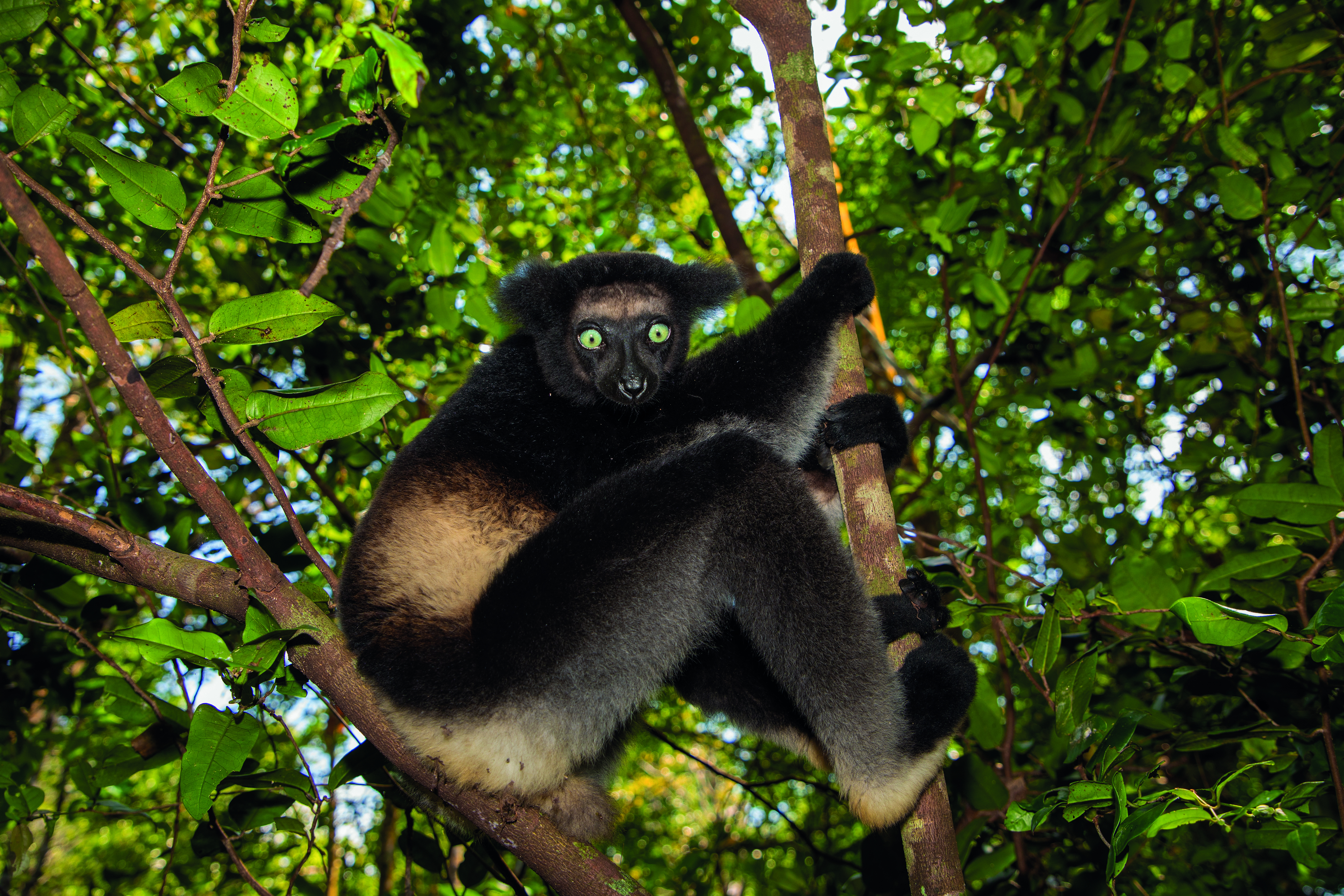 Madagaskar: Entspannt erleben